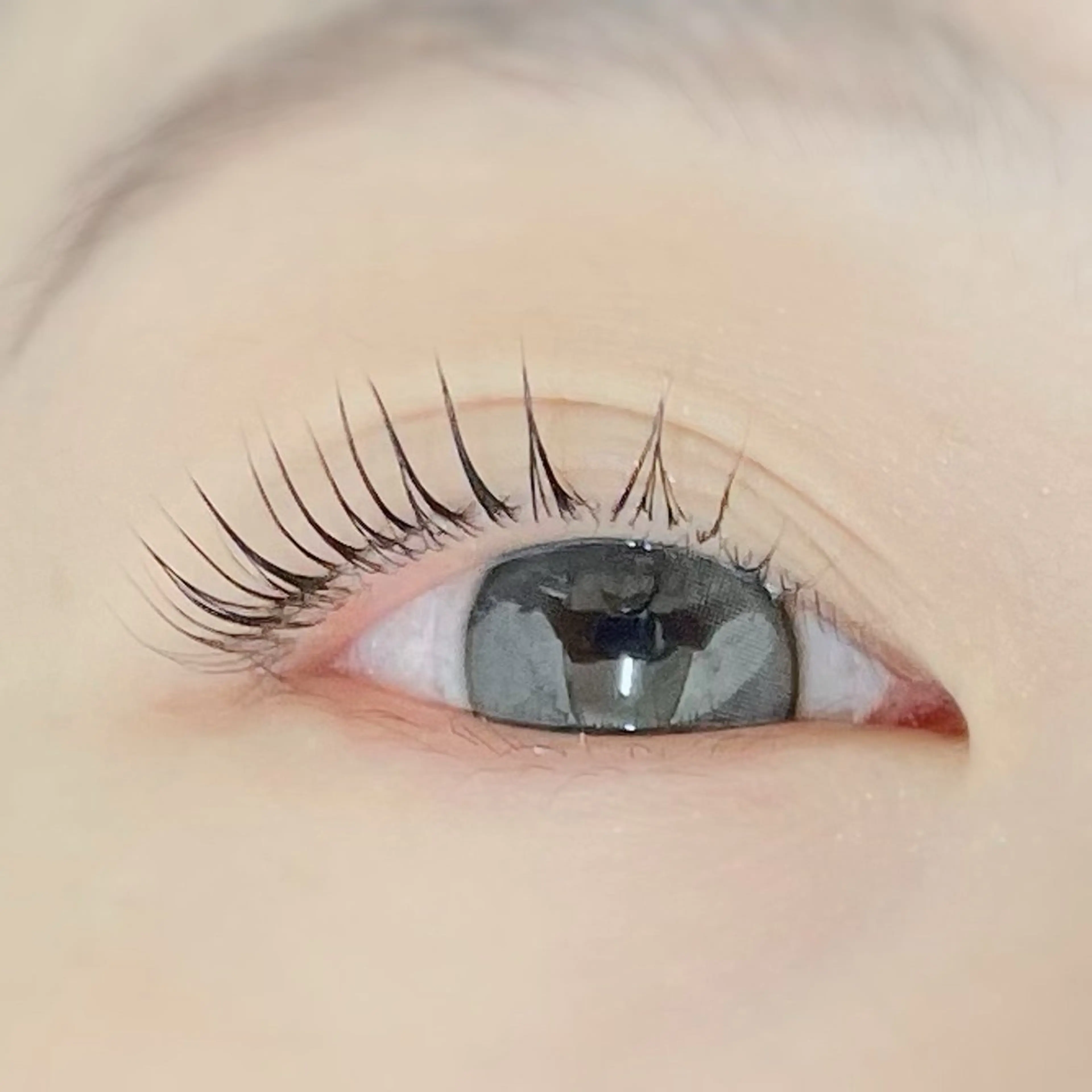 マツエク・マツパ Li'noa【リノア】調布所属・Li'noa 橋本のマツエク・マツパデザイン