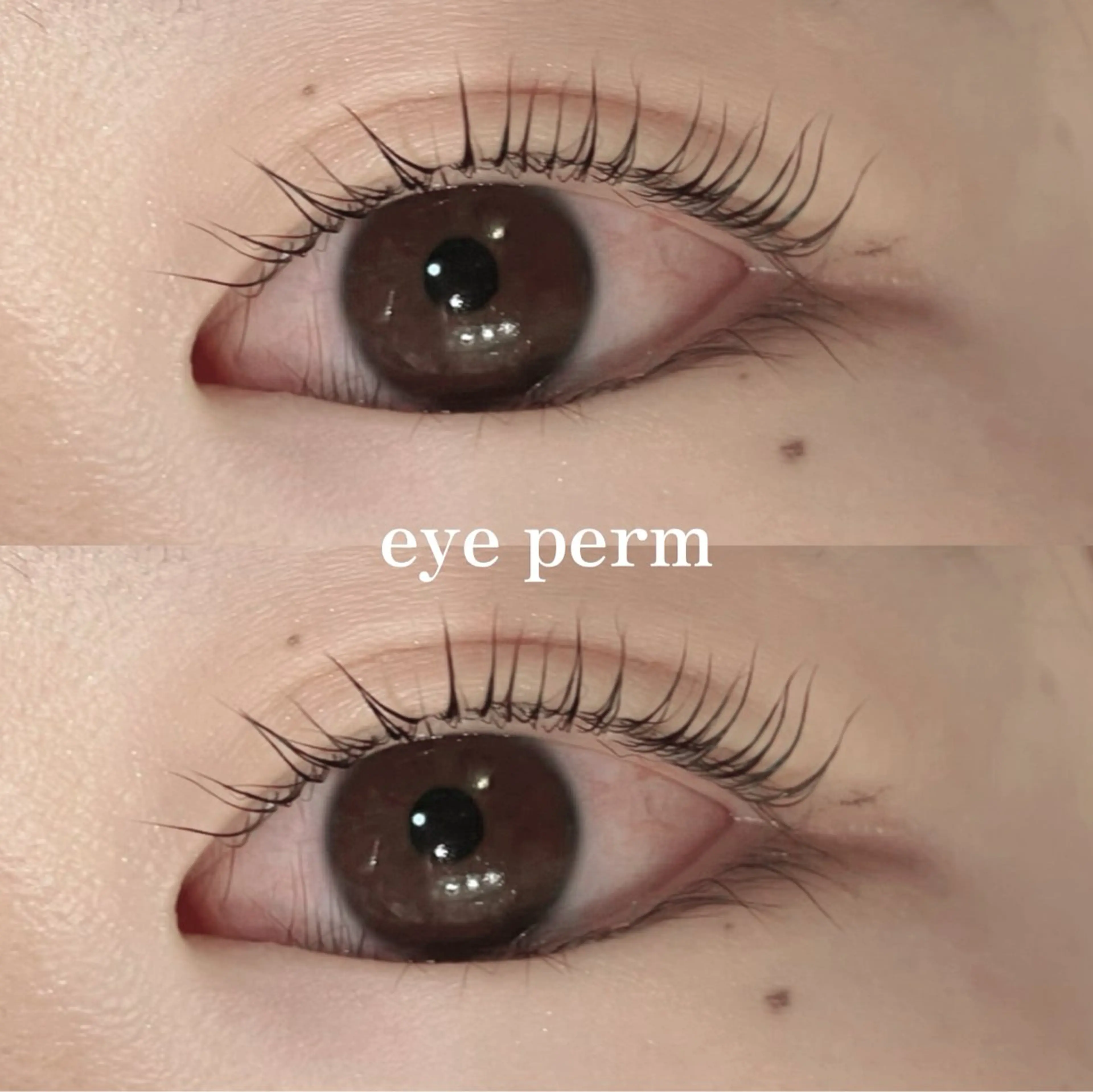 マツエク・マツパ Mon mignon ෆmomokaのマツエク・マツパデザイン