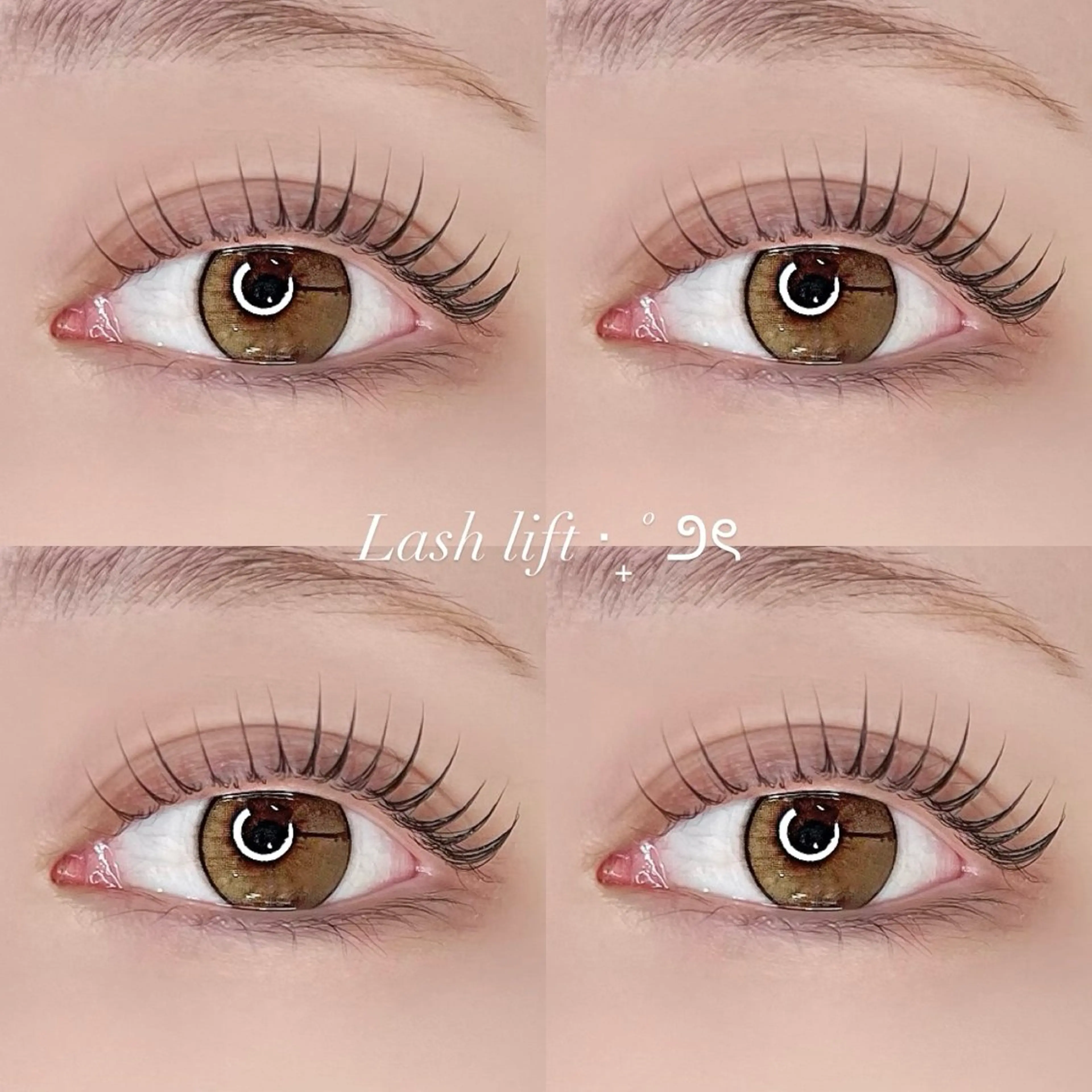 マツエク・マツパ マツパ/マツエク /天神/eimiのマツエク・マツパデザイン