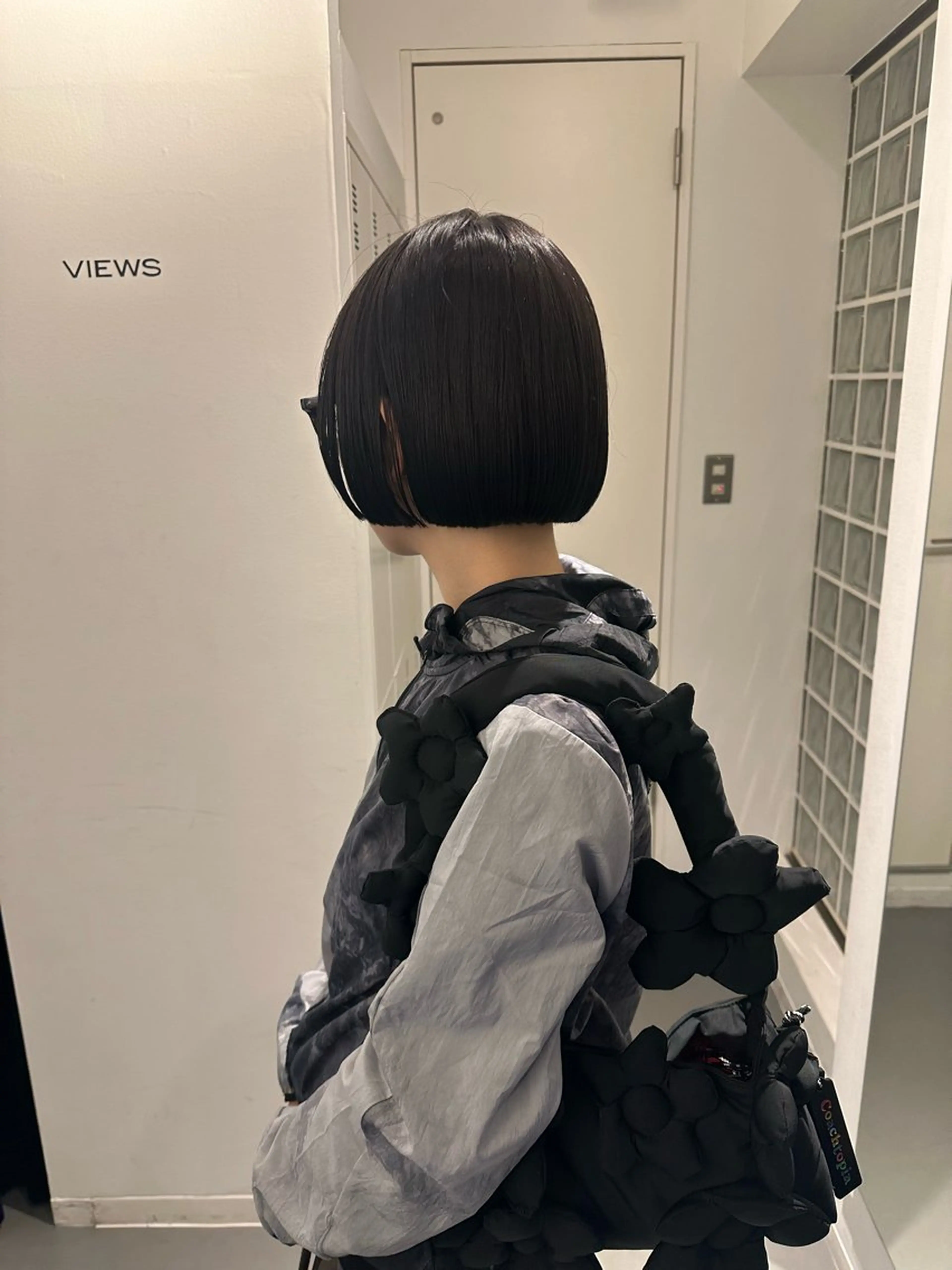 ショート カット ボブ/似合わせカット /ニュアンスカラーのヘアスタイル