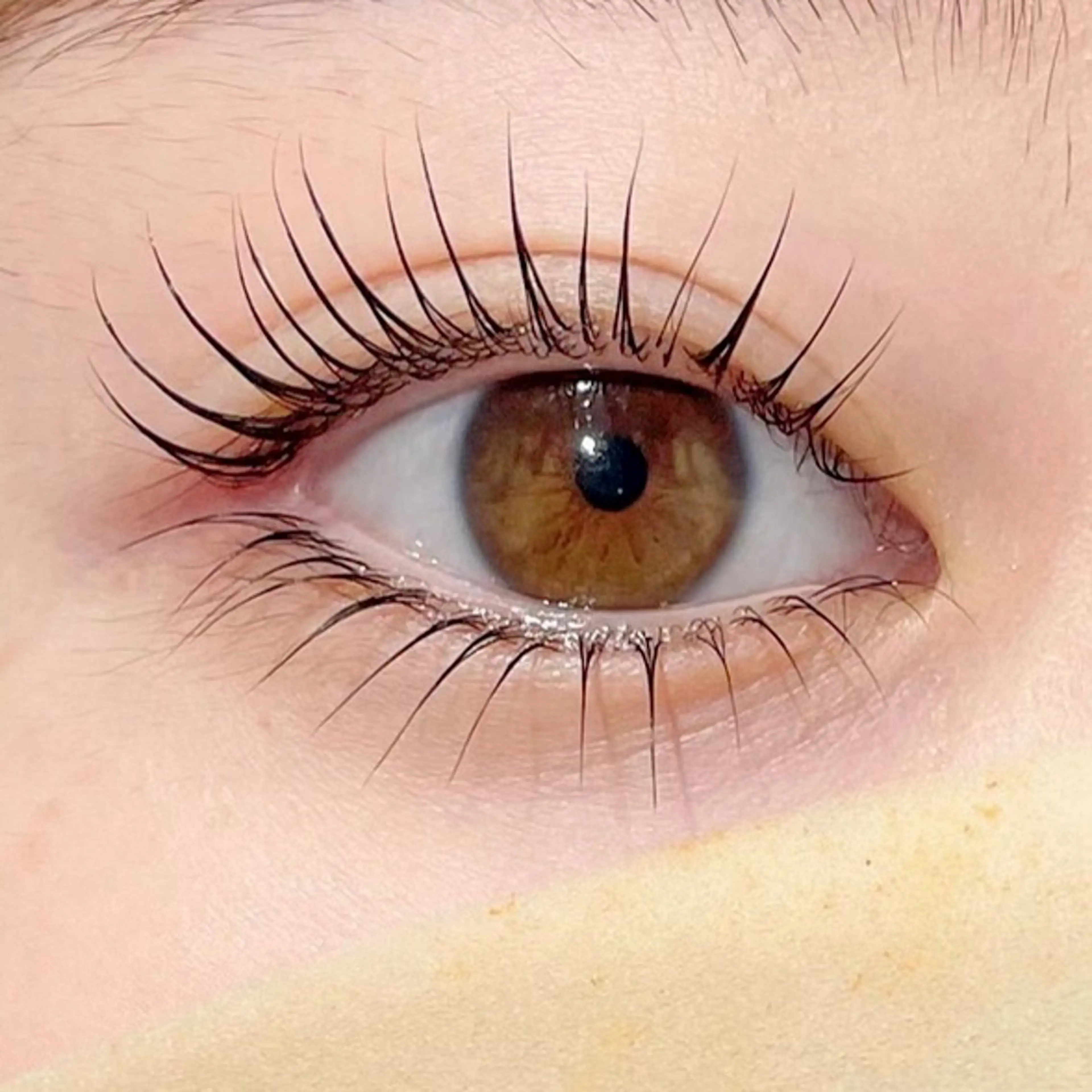 【ぱっちりeye】ラッシュリフト上下(まつ毛パーマ)✨ ケラチントリートメント付 ¥13,200→¥8,900の写真