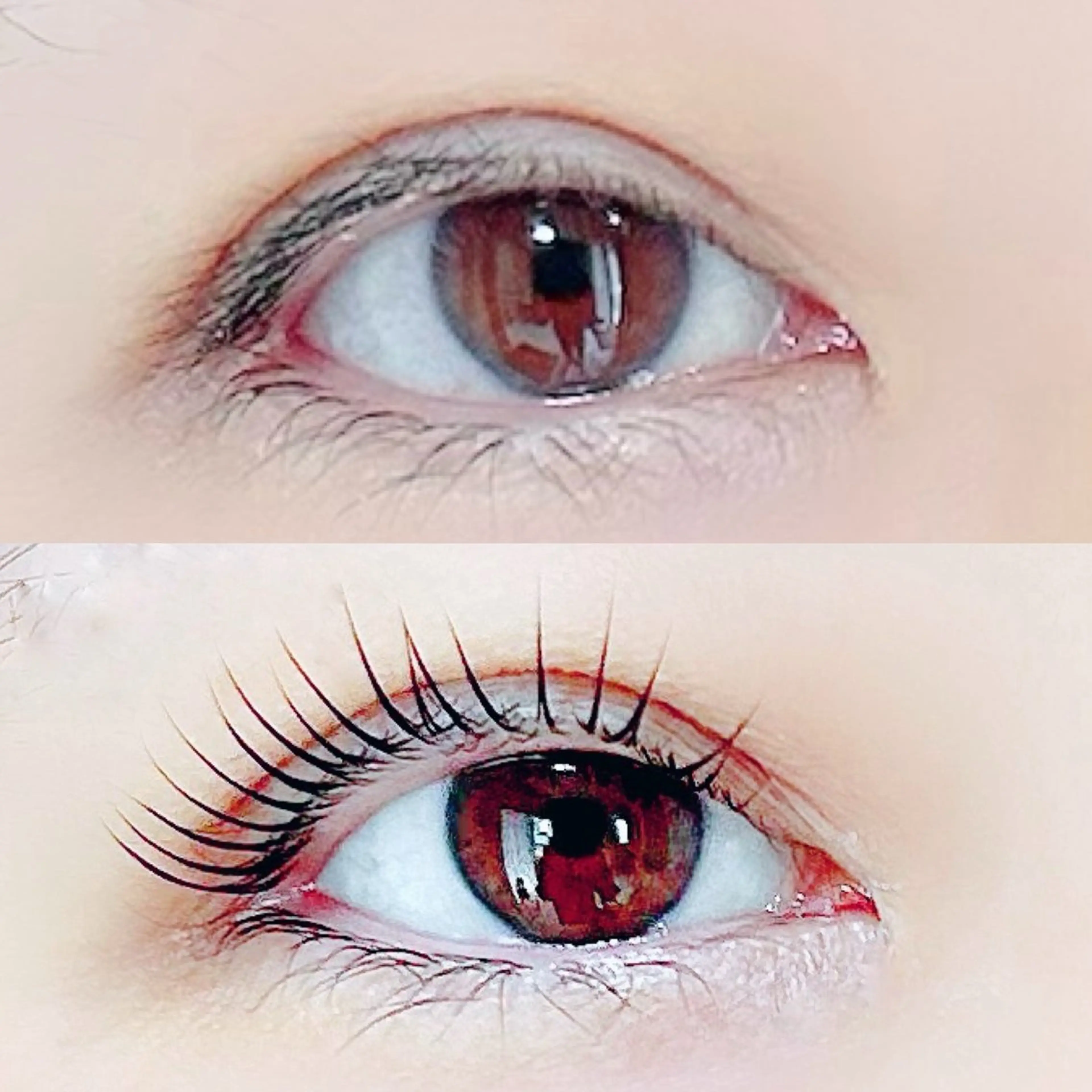 マツエク・マツパ SOL ソルのその他イメージ