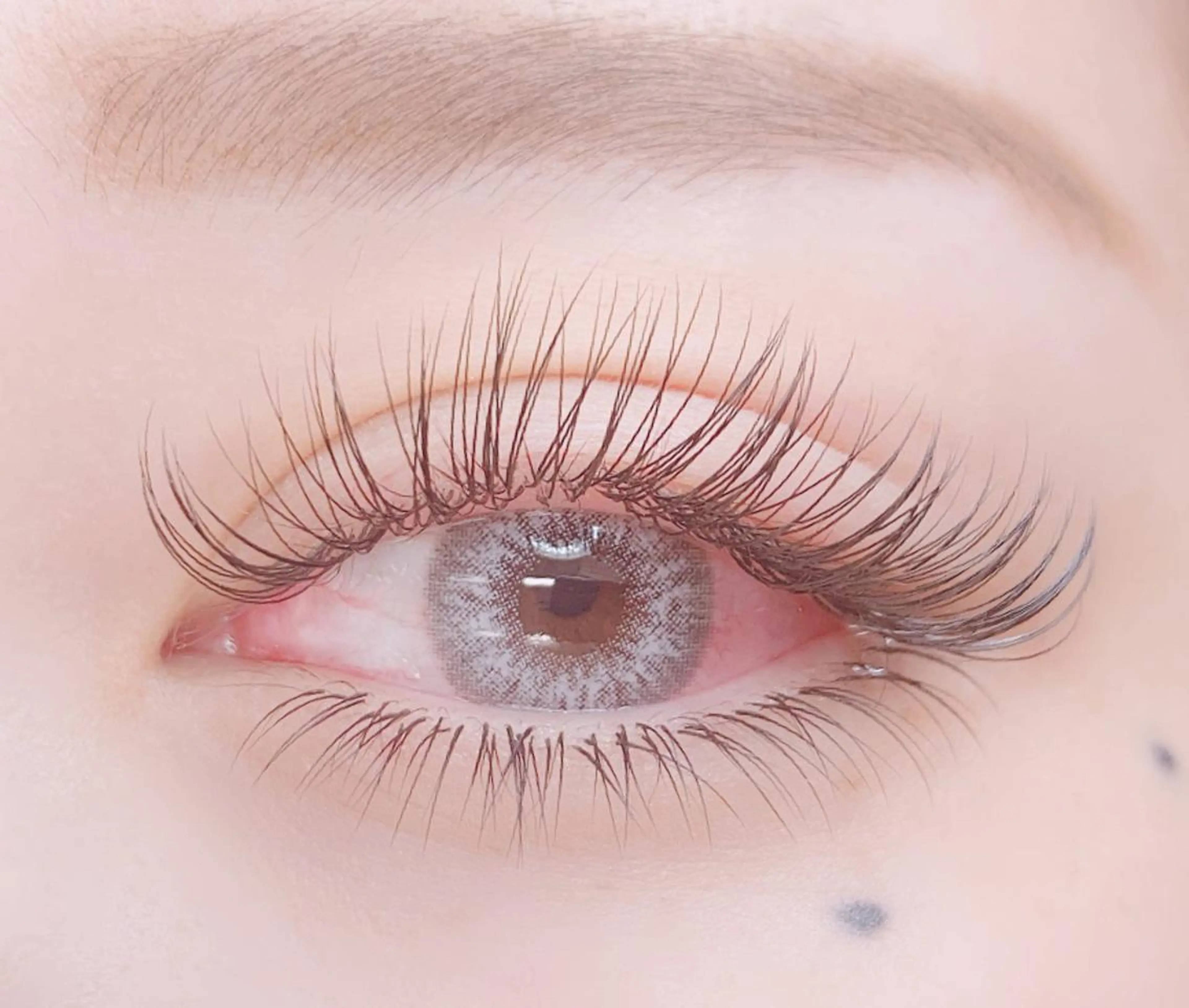 上下振り分け250ｺｰｽの写真