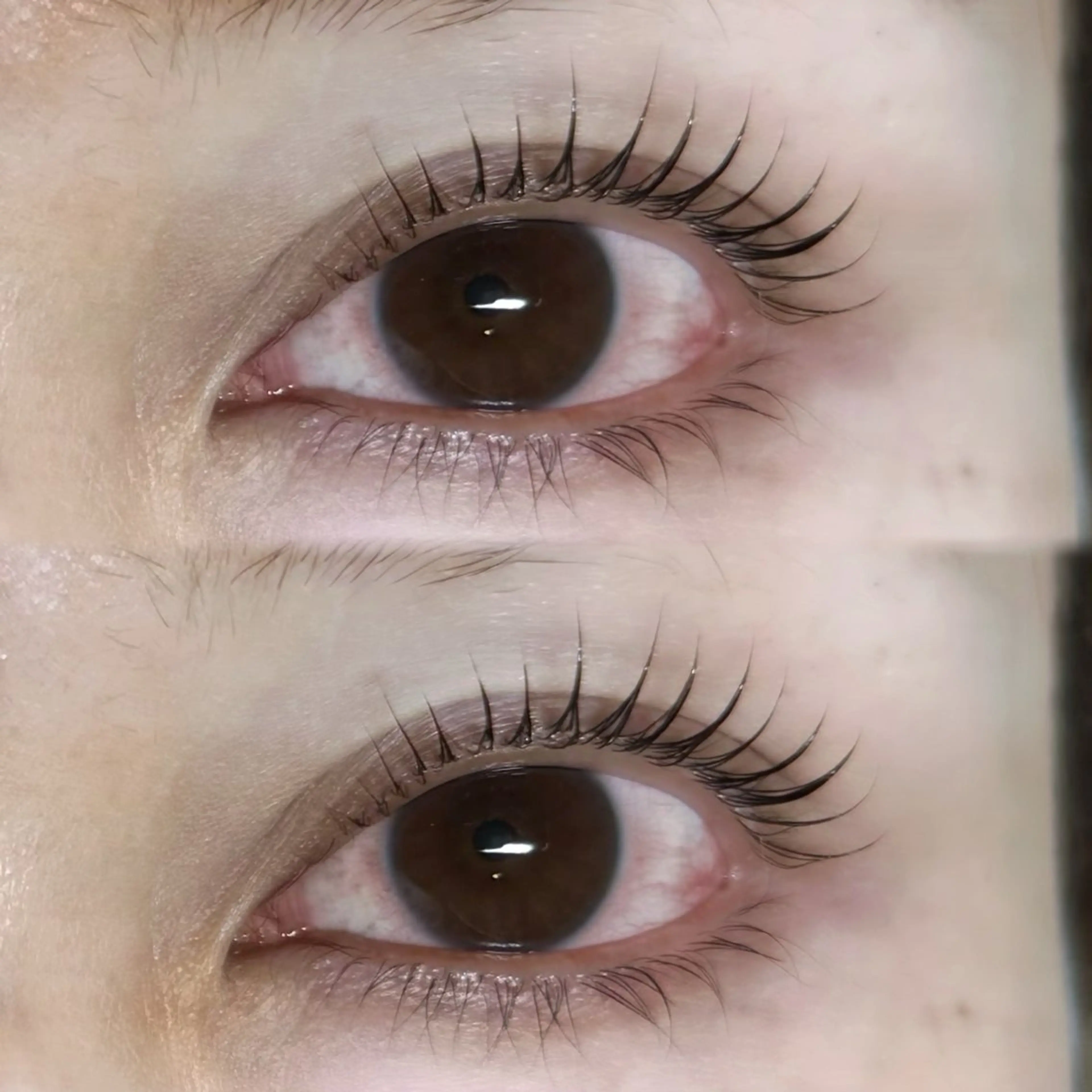 マツエク・マツパ ayaha ⌇angelicaのマツエク・マツパデザイン