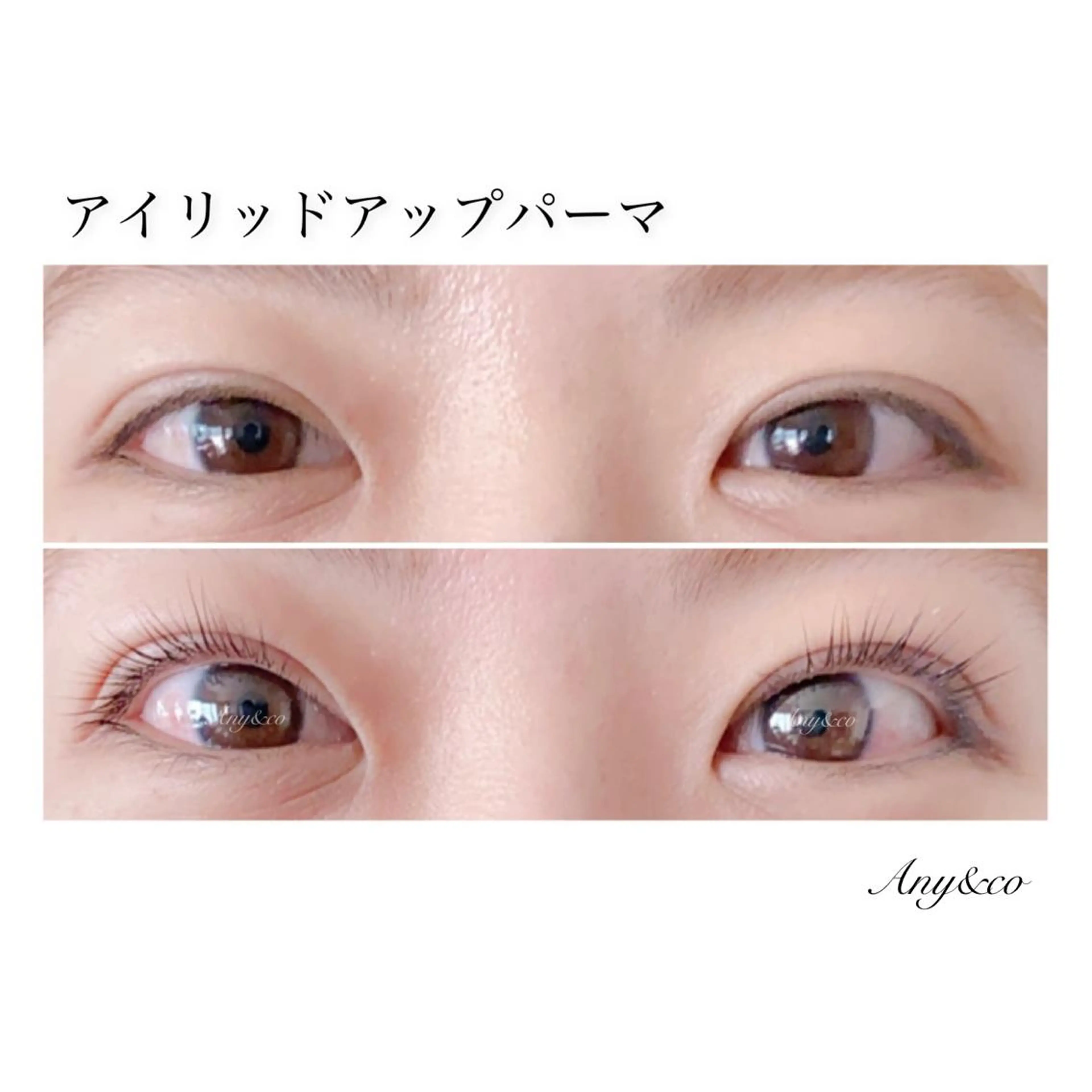 マツエク・マツパ アイリッドアップパーマ Any&co 【エニコ】のマツエク・マツパデザイン