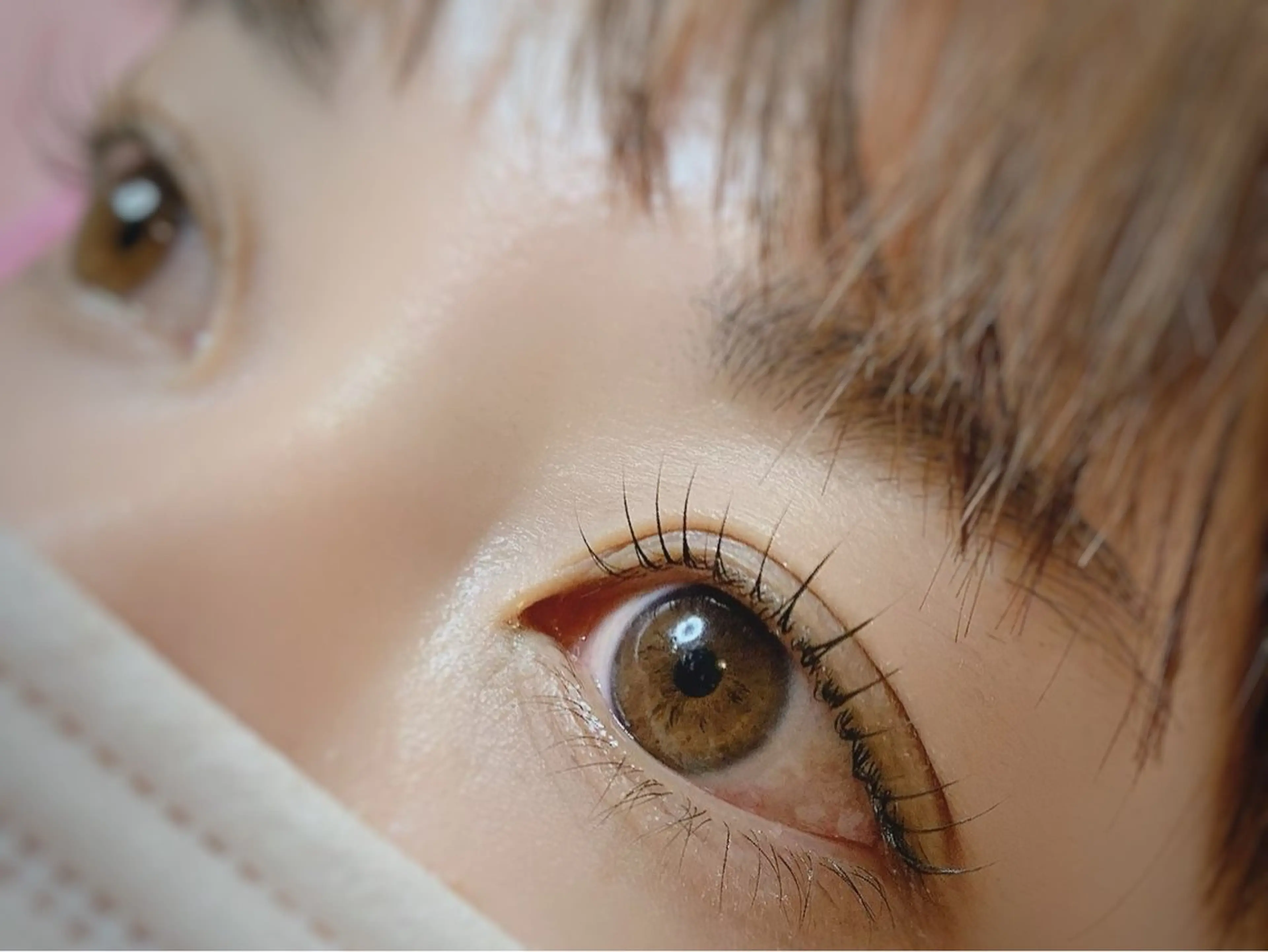 マツエク・マツパ 一重×まつ毛パーマ AYLASH石川 韓国風/カラエクのマツエク・マツパデザイン