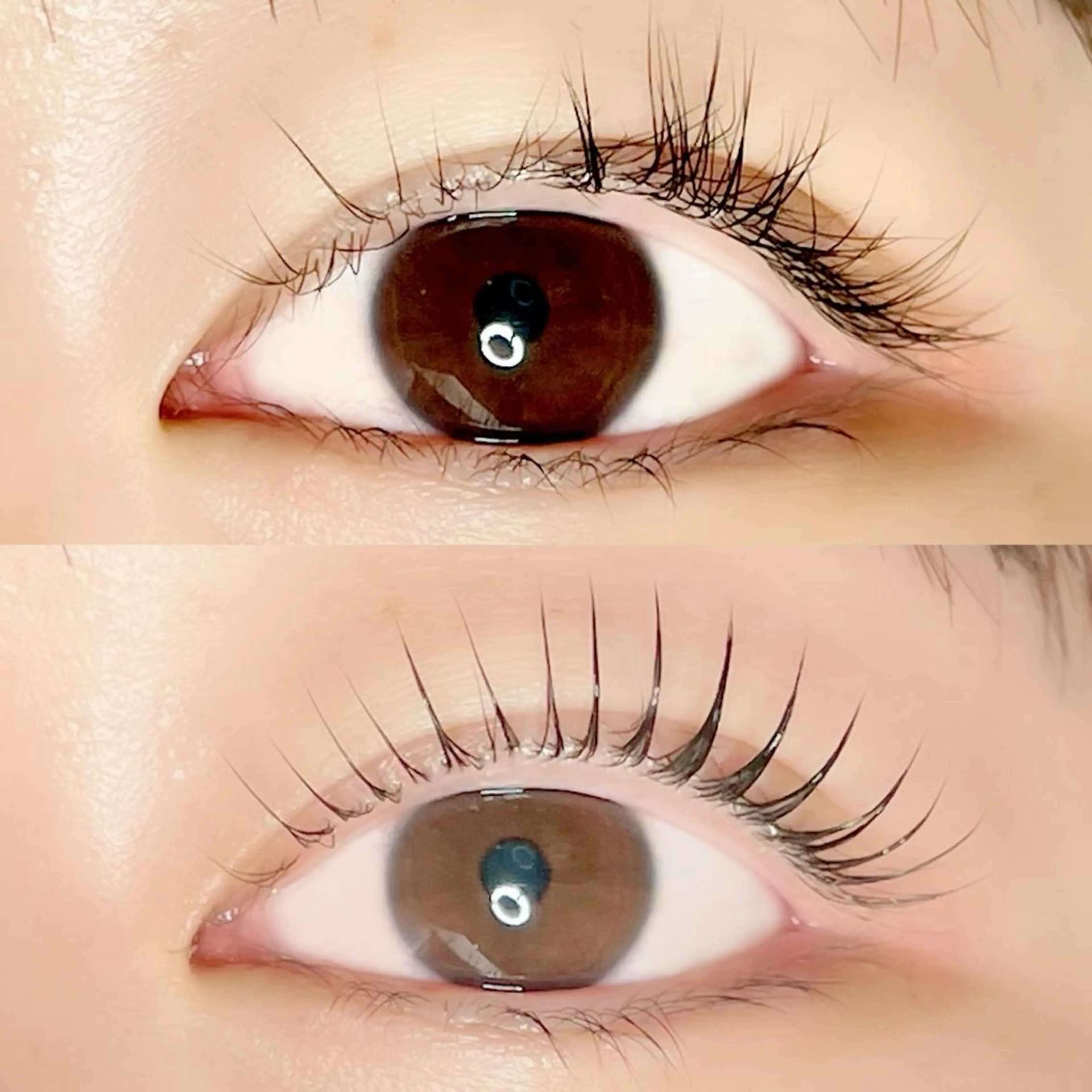 マツエク・マツパ AYLASH🧡 猪又のマツエク・マツパデザイン