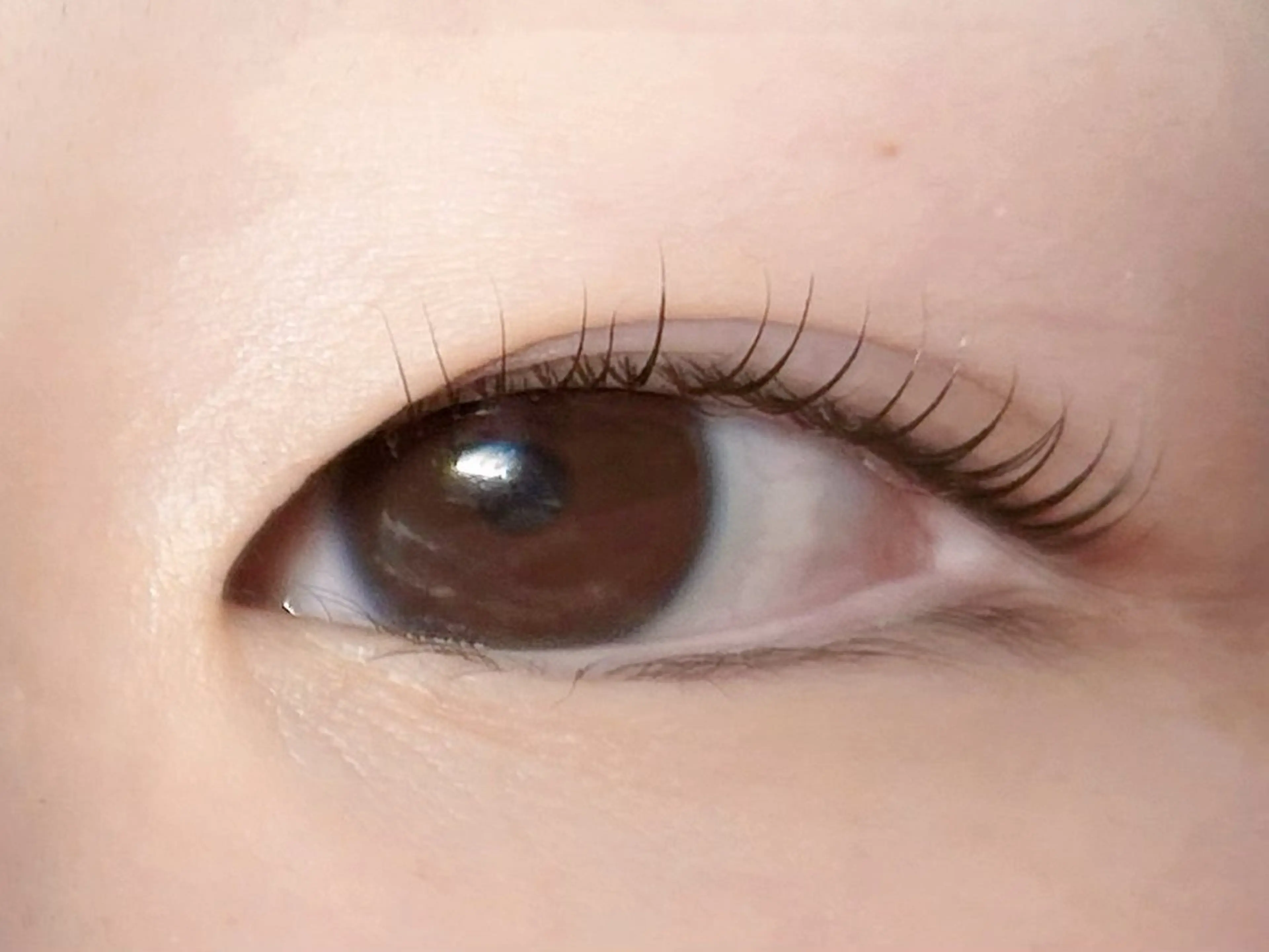 マツエク・マツパ Melia Chieのマツエク・マツパデザイン