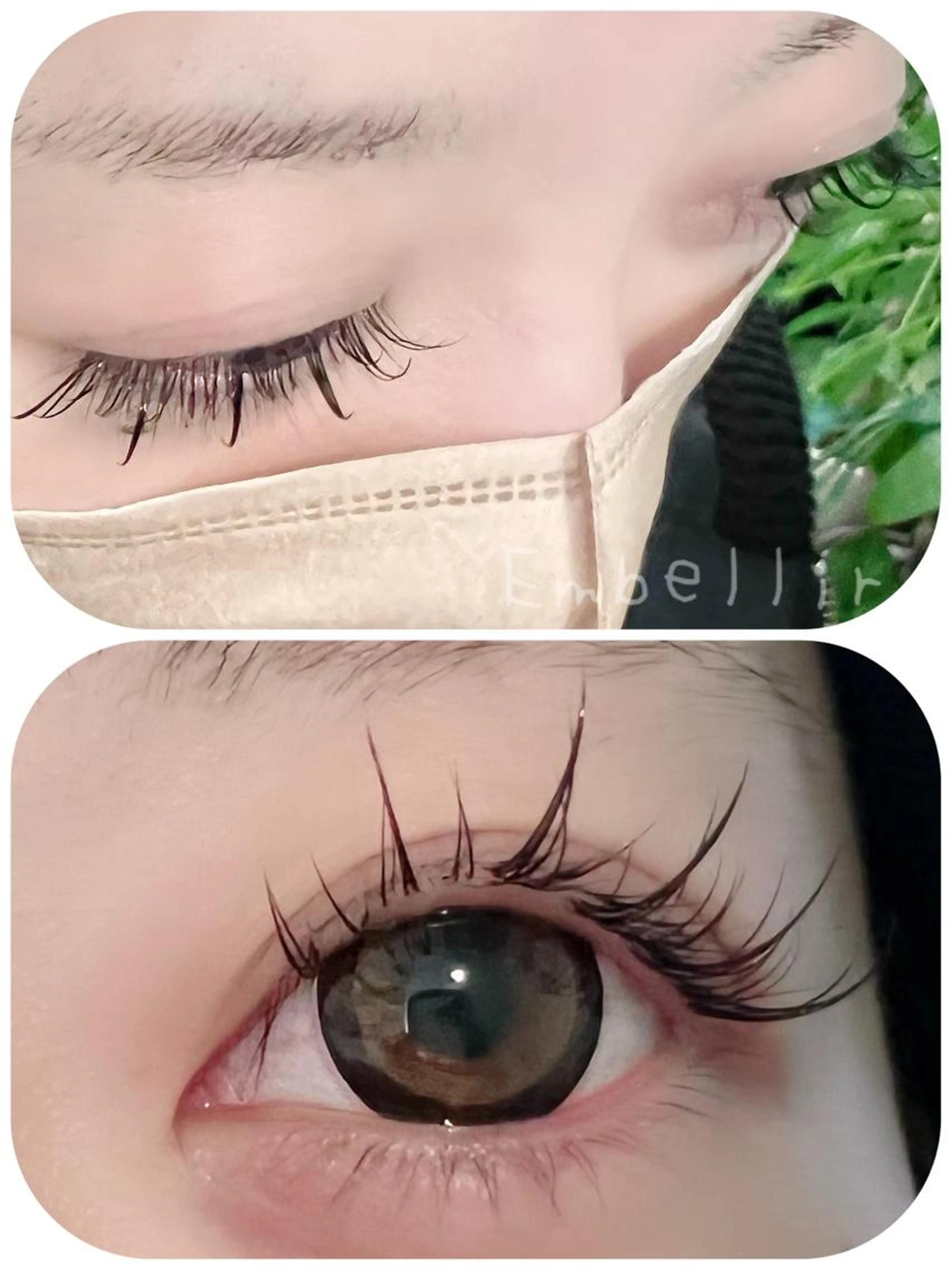 🌸フラットラッシュ(オフ込み)コーティング付き 100本🌸の写真