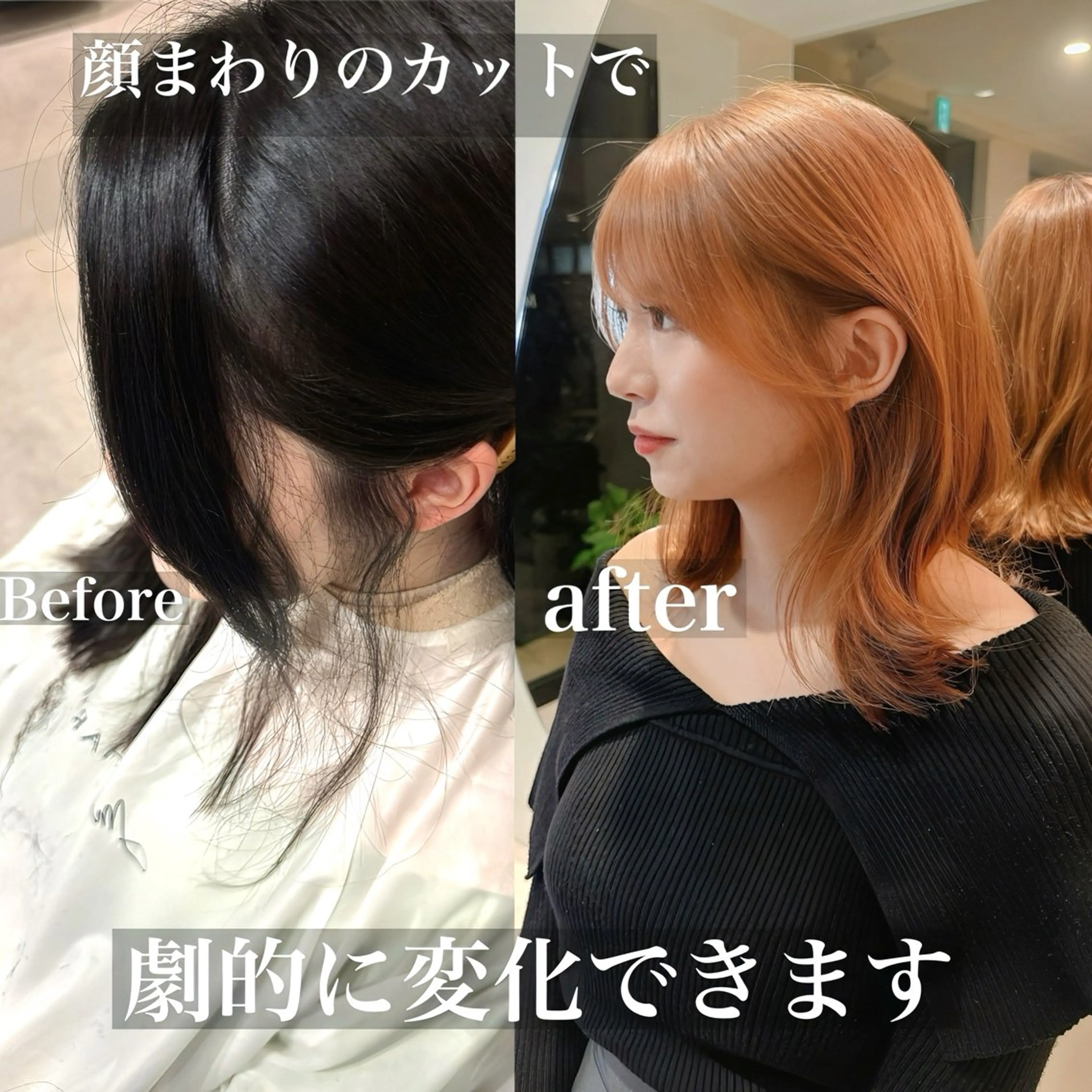 セミロング 韓国風/小顔レイヤー /艶カラーのヘアスタイル