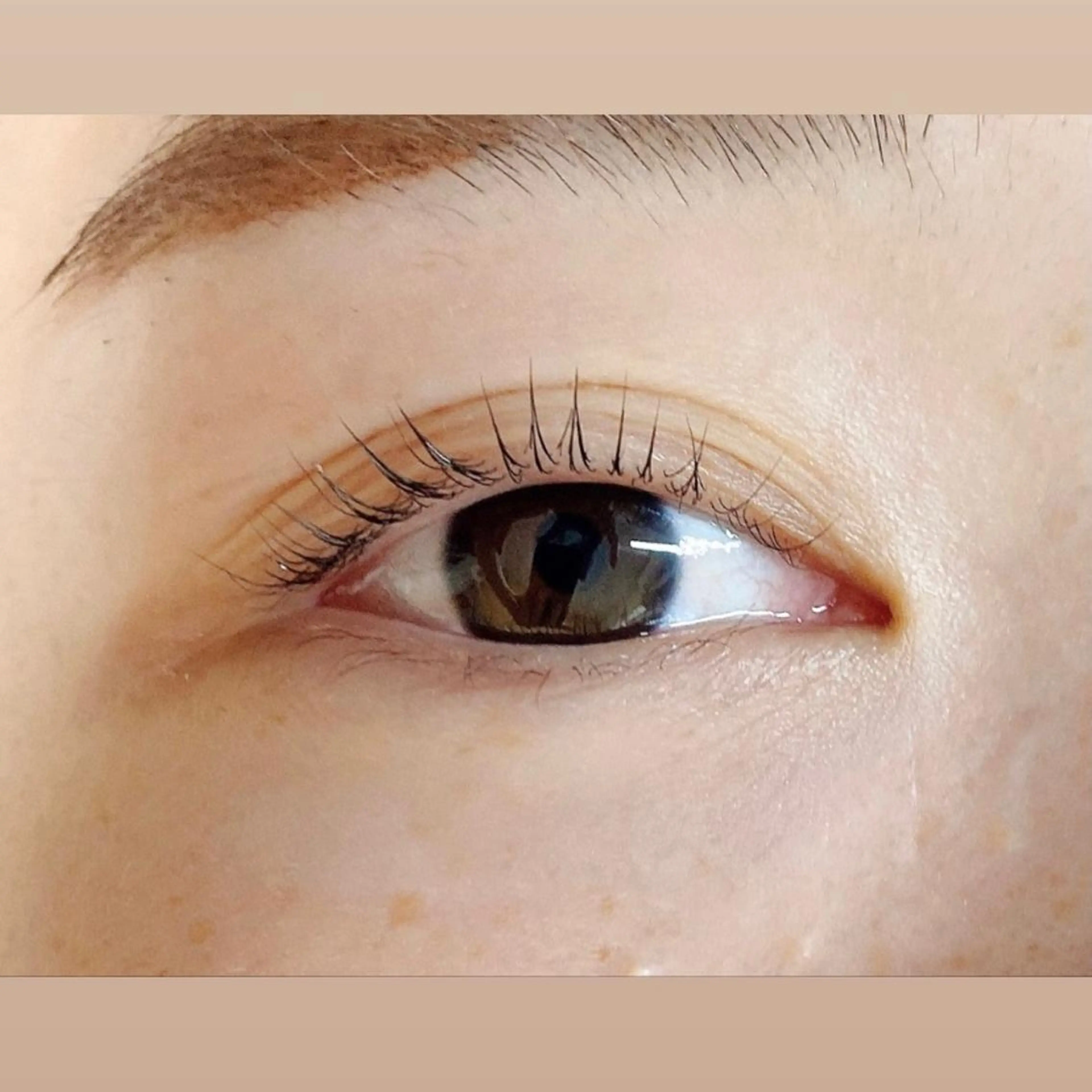 マツエク・マツパ eyelash clear池袋のマツエク・マツパデザイン