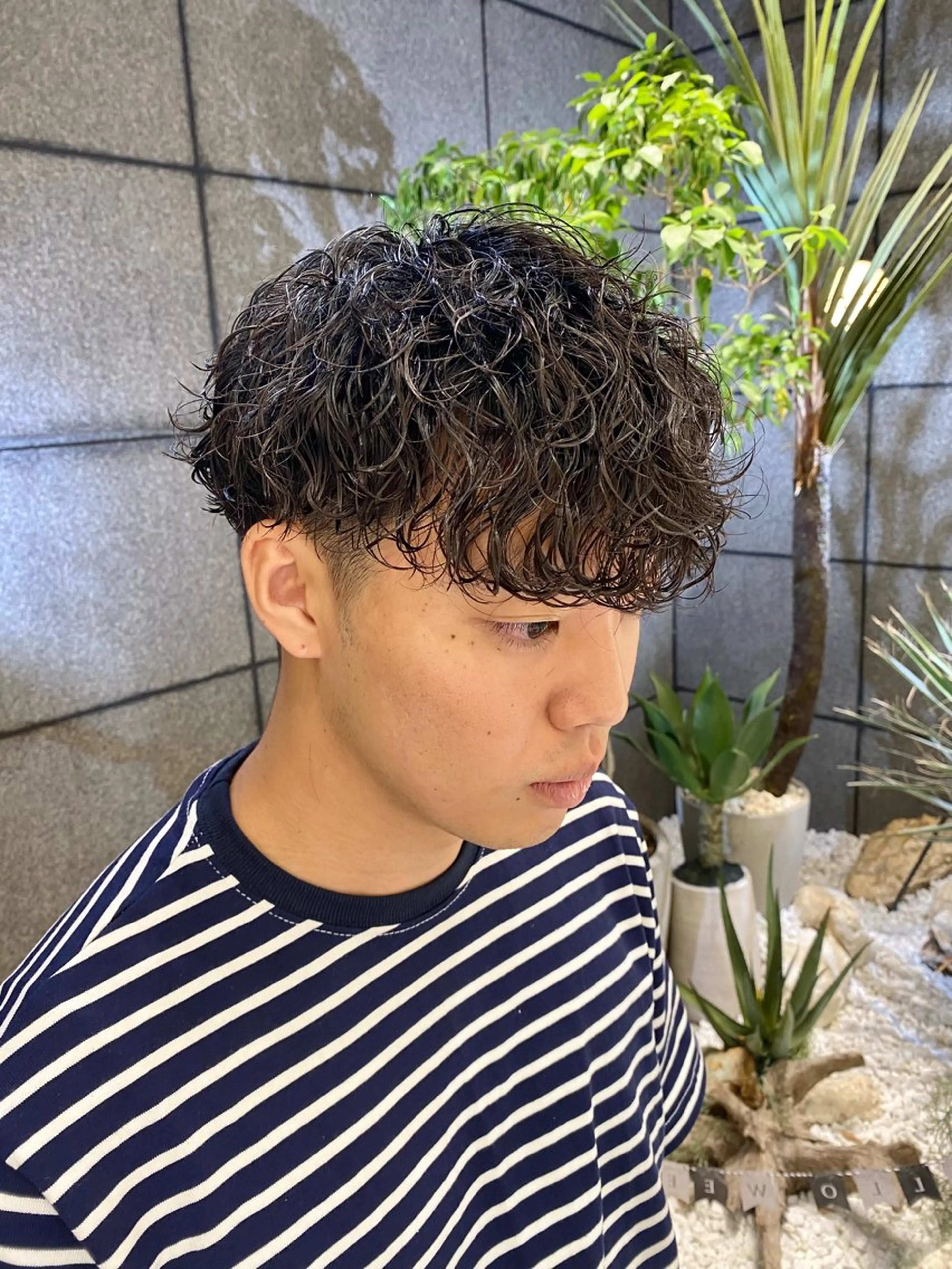 ショート パーマ メンズ フェードカット メンズメッシュ メンズパーマ プードルパーマ スキンフェード カット パーマ 酸スト/フェザー パーマ/三谷海斗のヘアスタイル