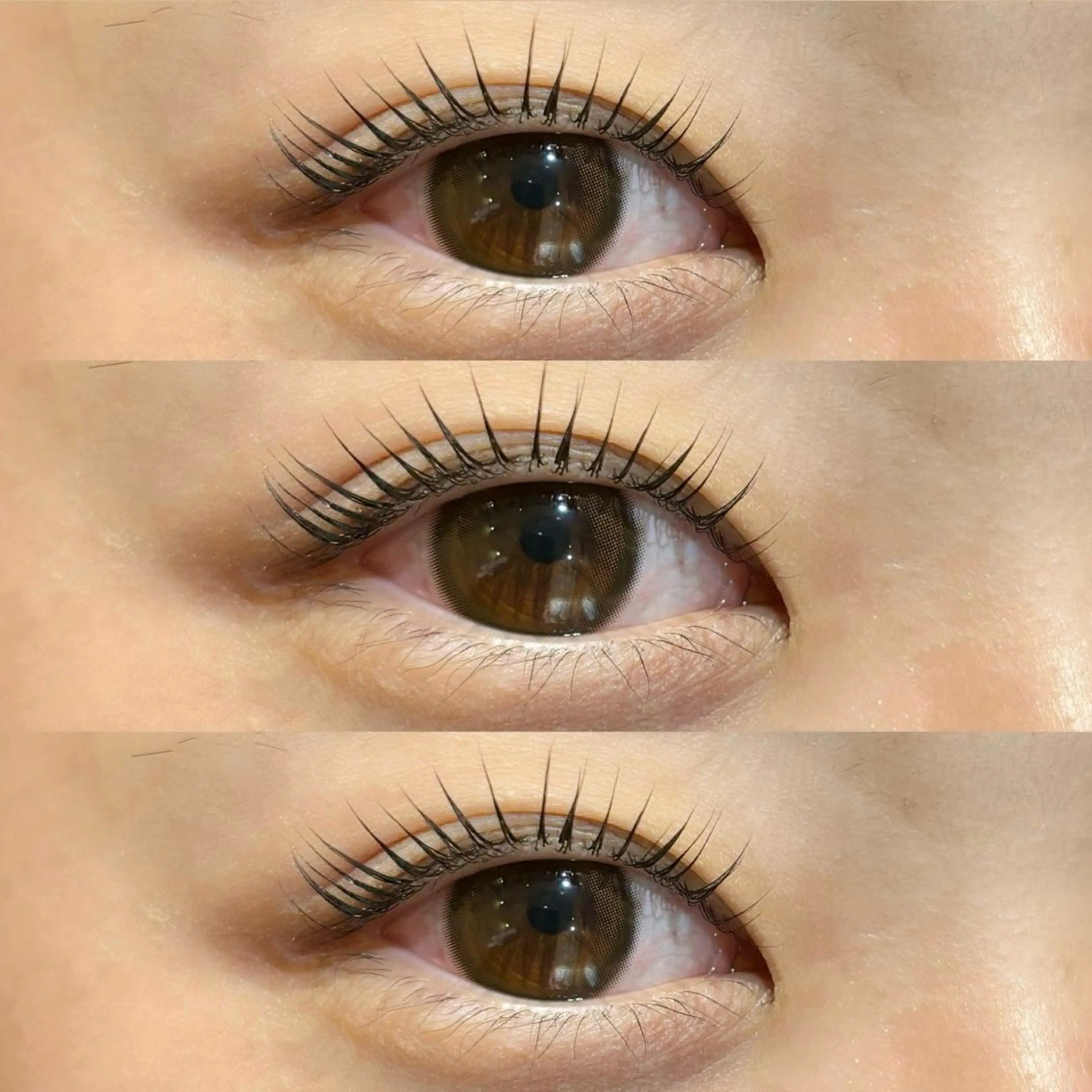 🎄12月限定🎄次世代まつ毛パーマorパリジェンヌ🤍束感🤍美容液コーティング付🤍の写真