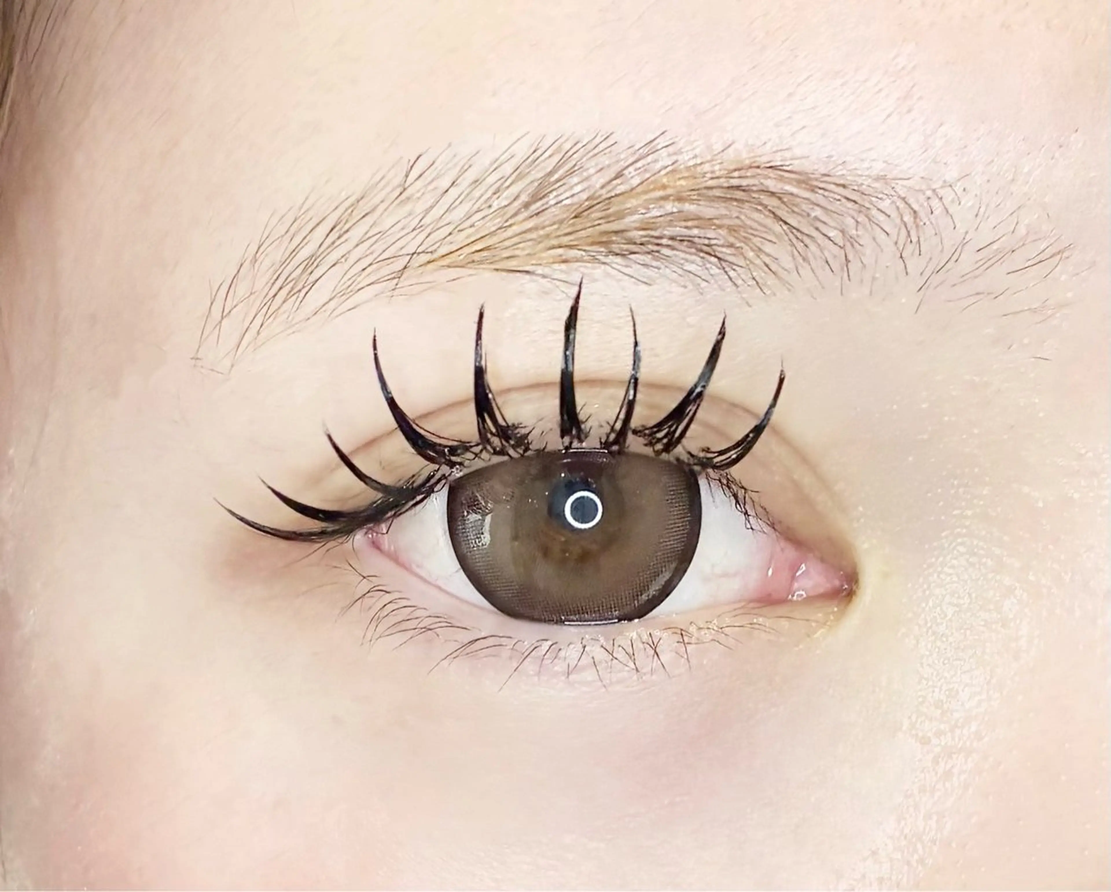 マツエク・マツパ マツエク LEDエクステ専門店 Fedis 京橋のマツエク・マツパデザイン