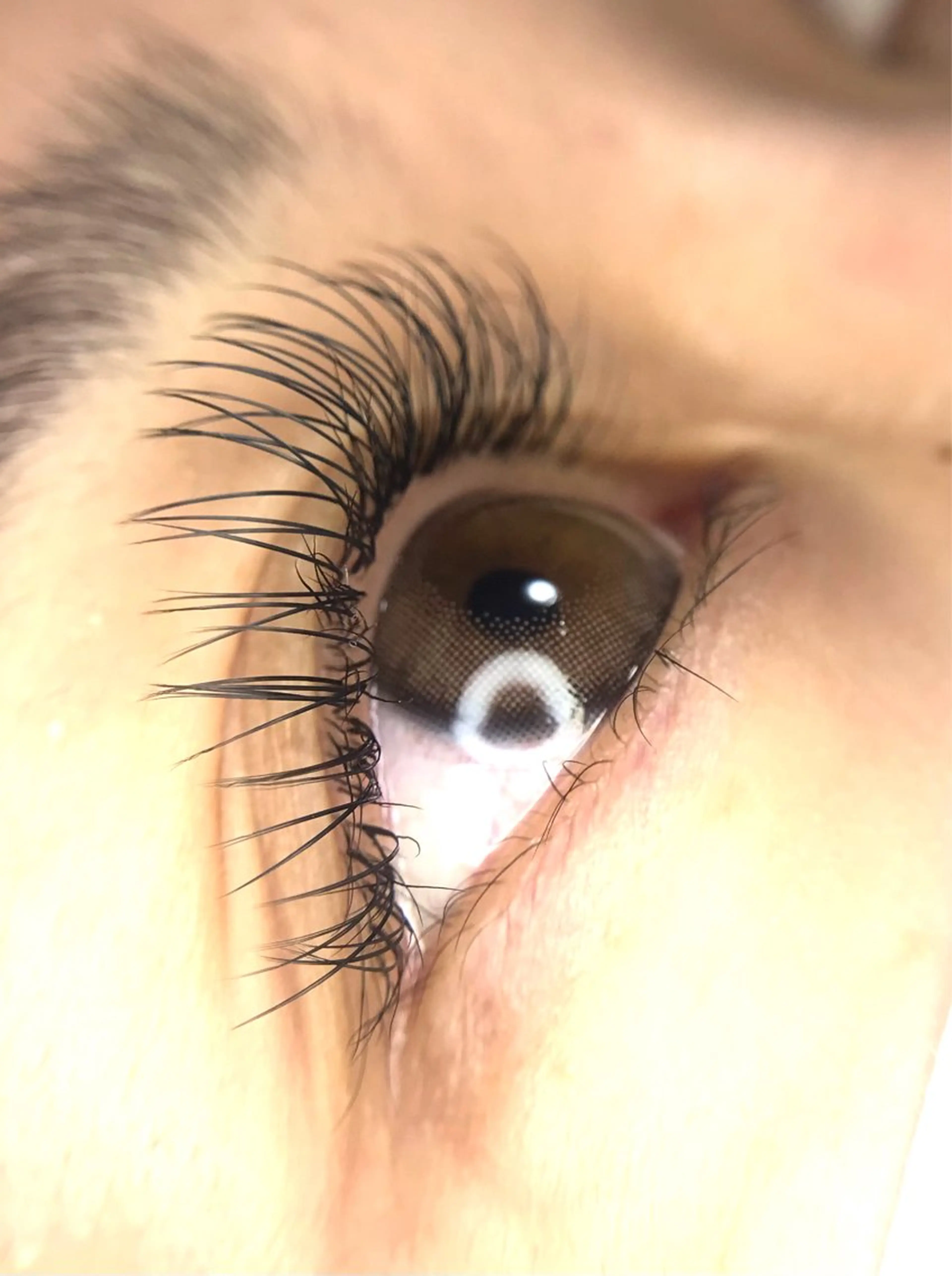 マツエク・マツパ Dカール フラットラッシュ リアン SAORIのマツエク・マツパデザイン