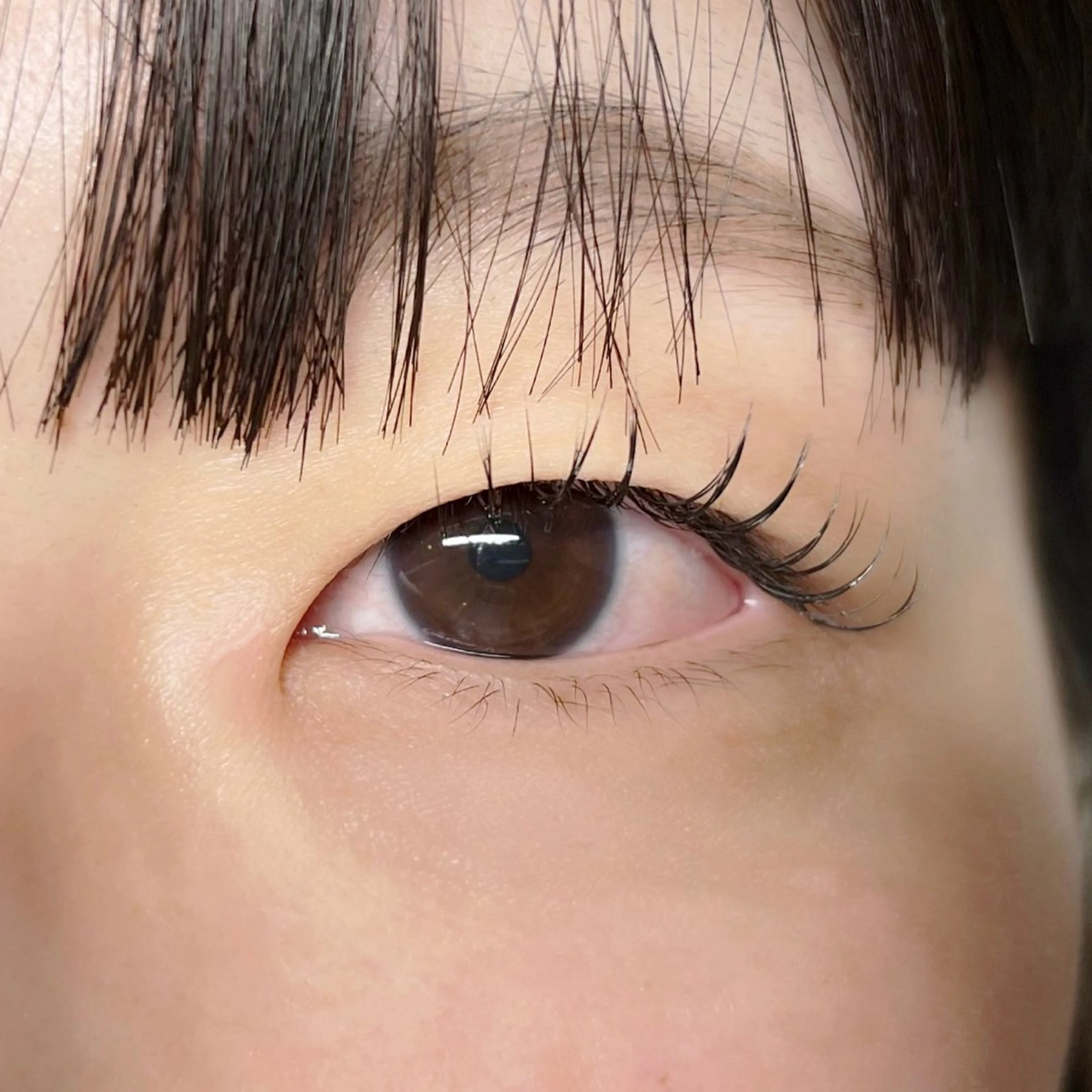 マツエク・マツパ キュート セーブル kaho / u.のマツエク・マツパデザイン