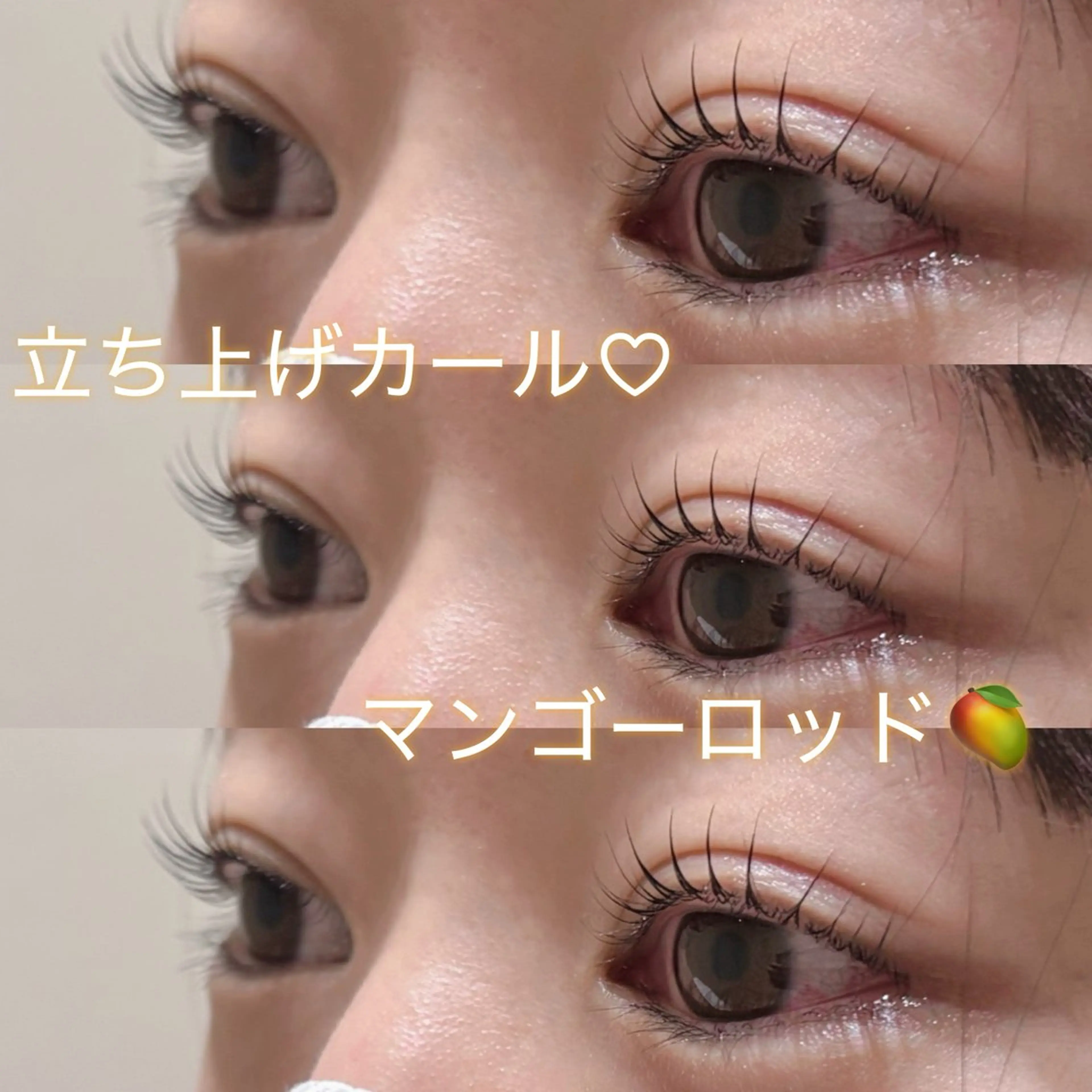 【本日限定🔥】似合わせまつ毛パーマ(トリートメント、コーティング付)+アイシャンプー+ブラックティント🖤の写真