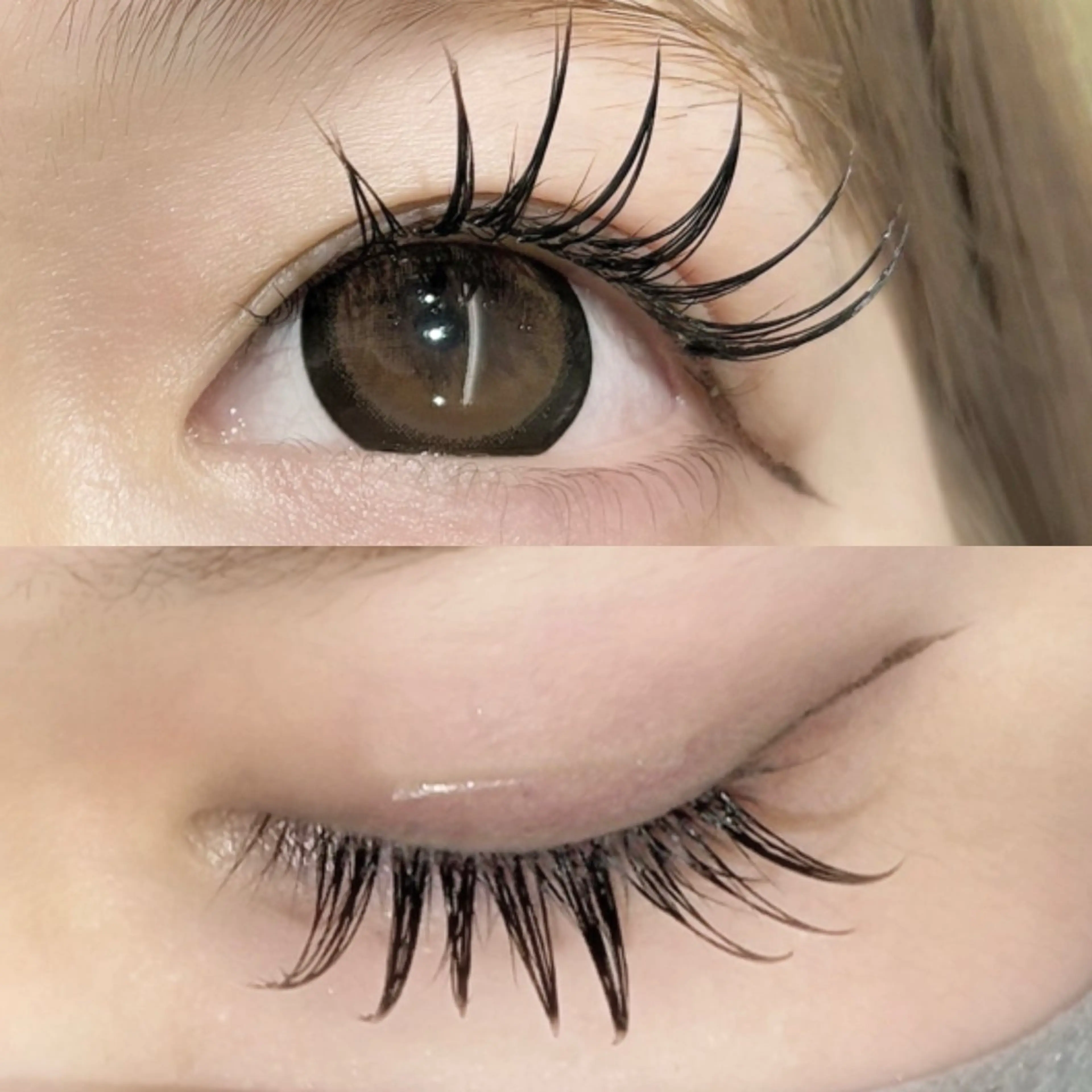 マツエク・マツパ Cカール セーブル Dolly Lash 松本のマツエク・マツパデザイン