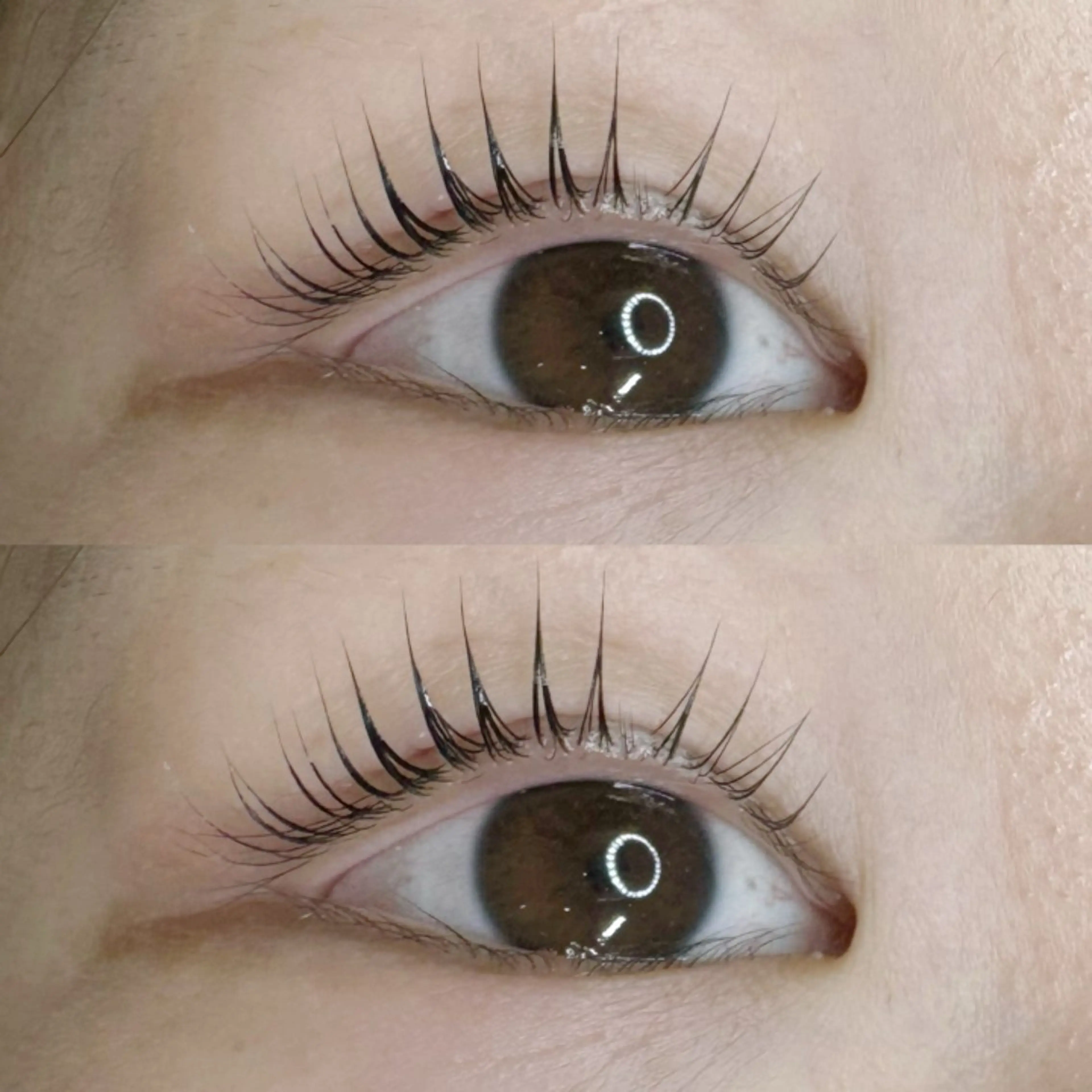 🪅12月限定クーポン🎄🎁　(パリジェンヌトリートメント付き)の写真