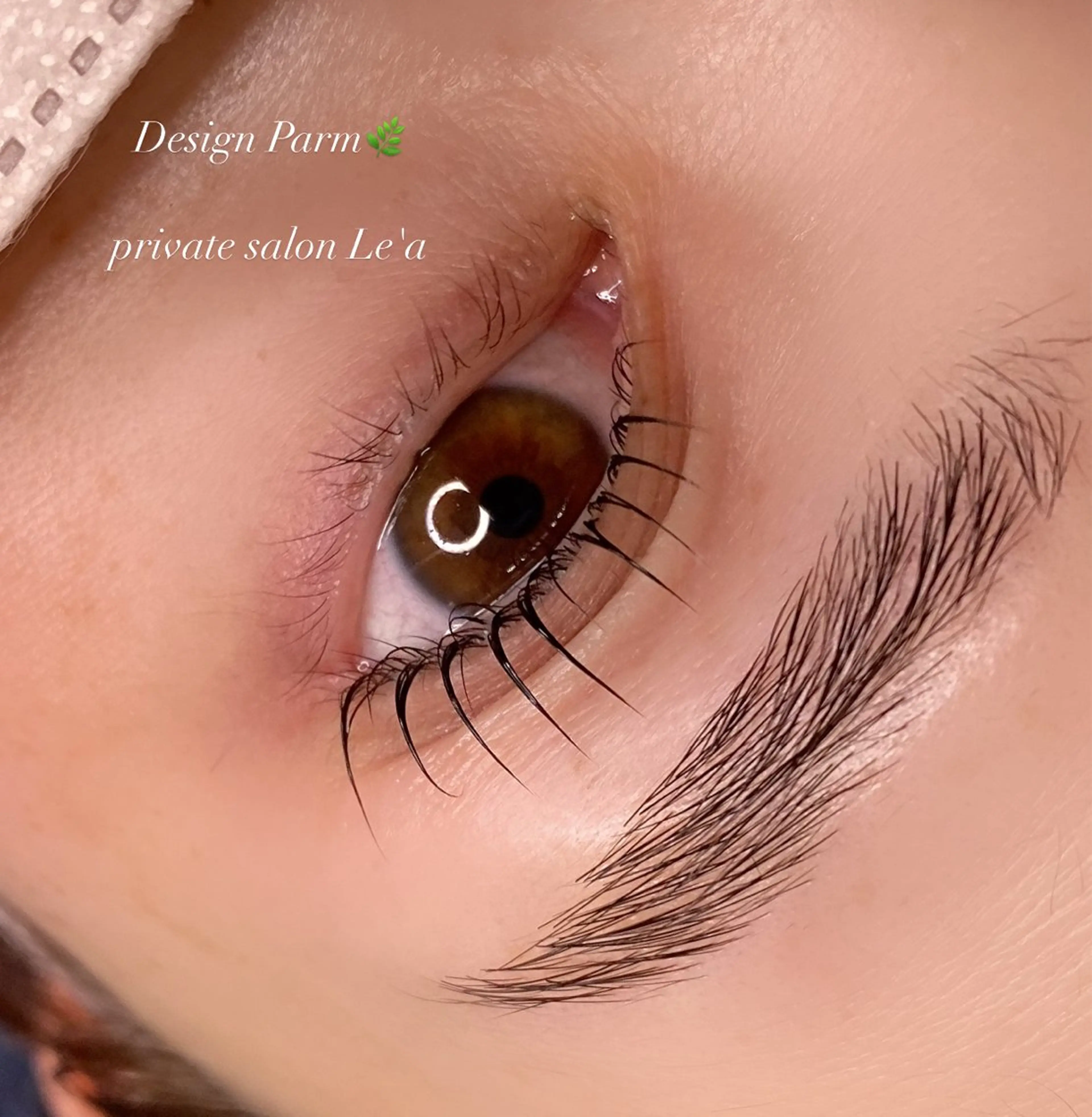 マツエク・マツパ マツパ 高橋 萌子のマツエク・マツパデザイン