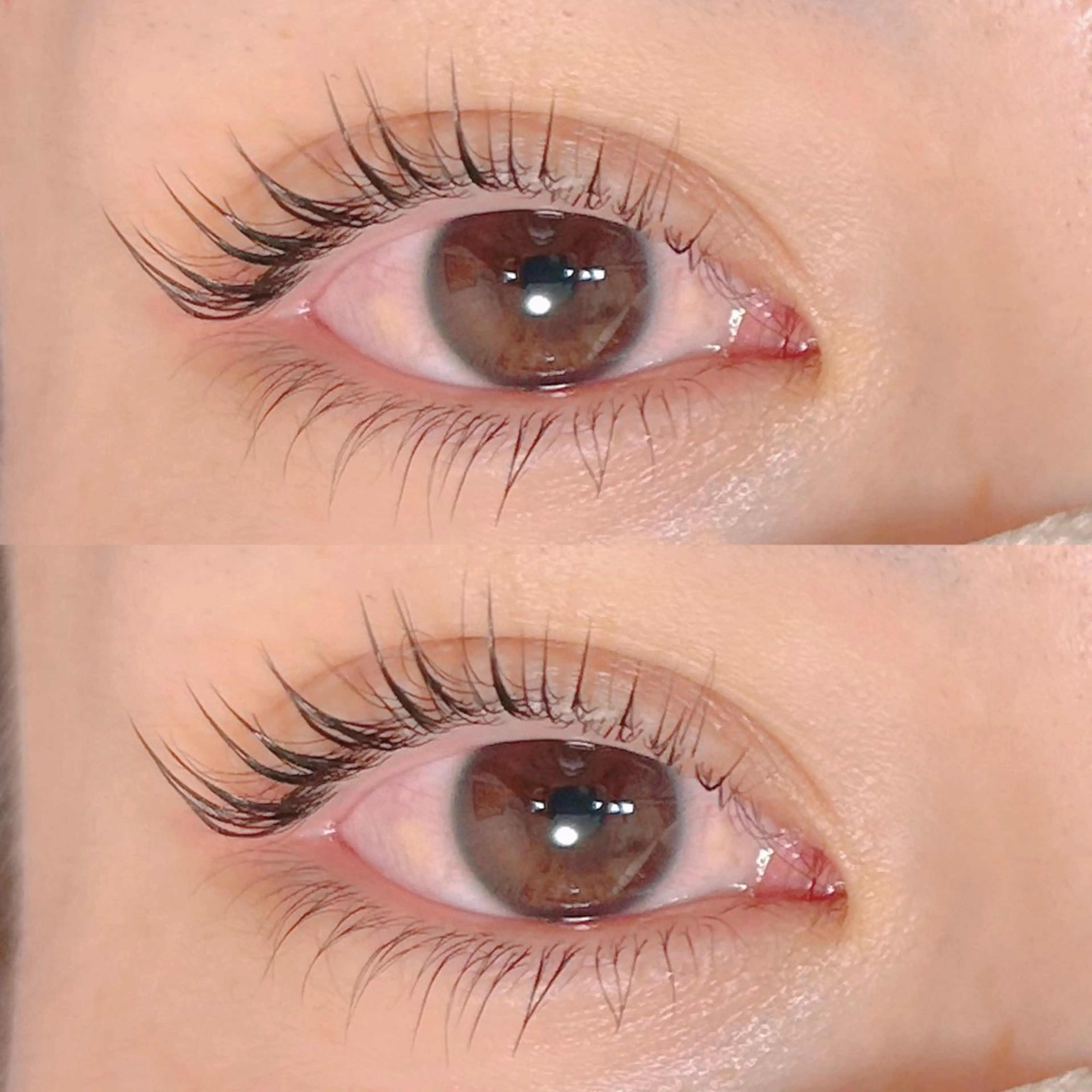 🩵ブラックティント付き🩵上下まつ毛パーマ　パリジェンヌラッシュリフト　マスカラパーマ　下まつ毛パーマの写真