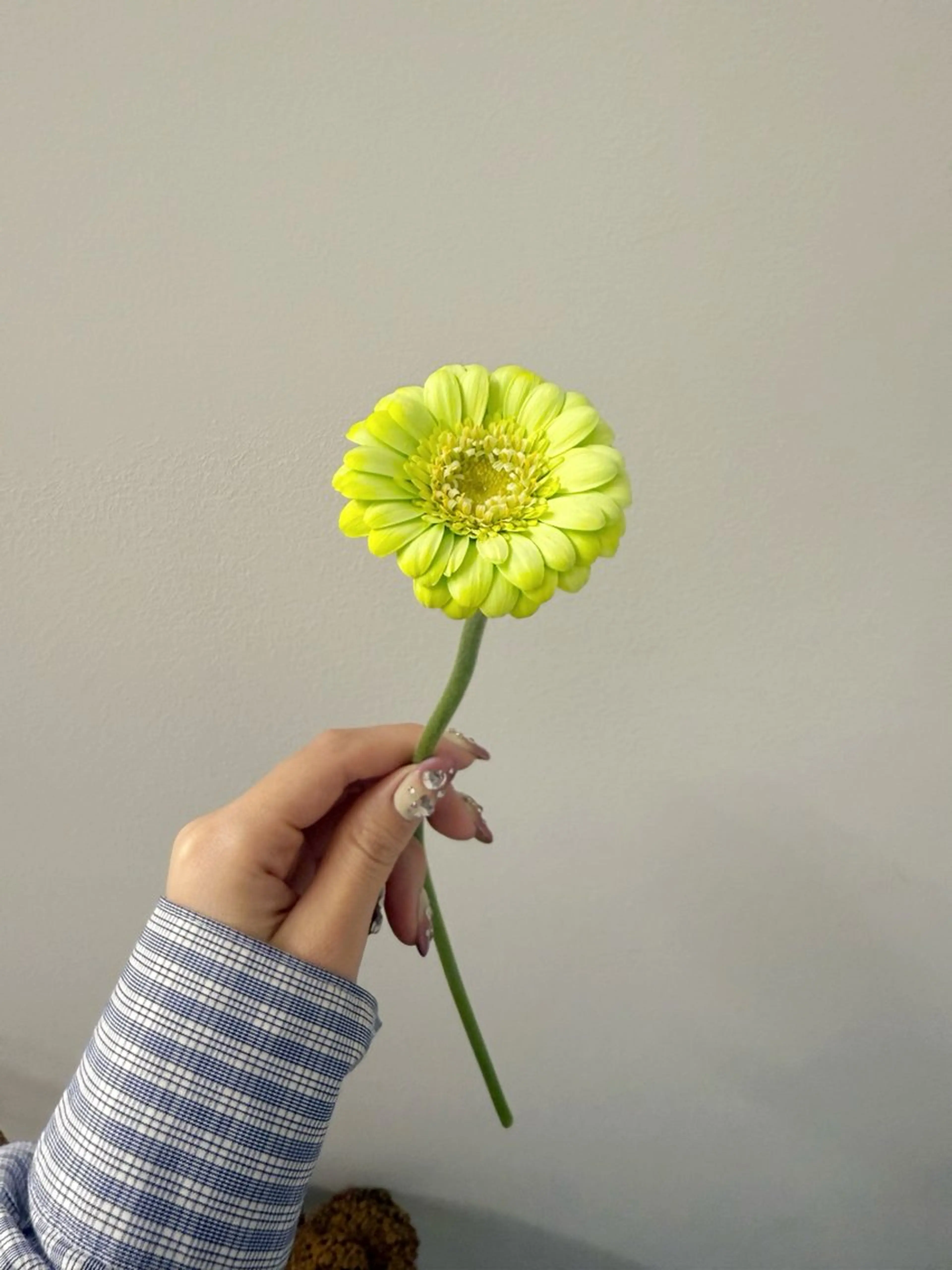 カット ヘアカラー トリートメント 🌻花屋併設🌻濱 幸帆のヘアスタイル