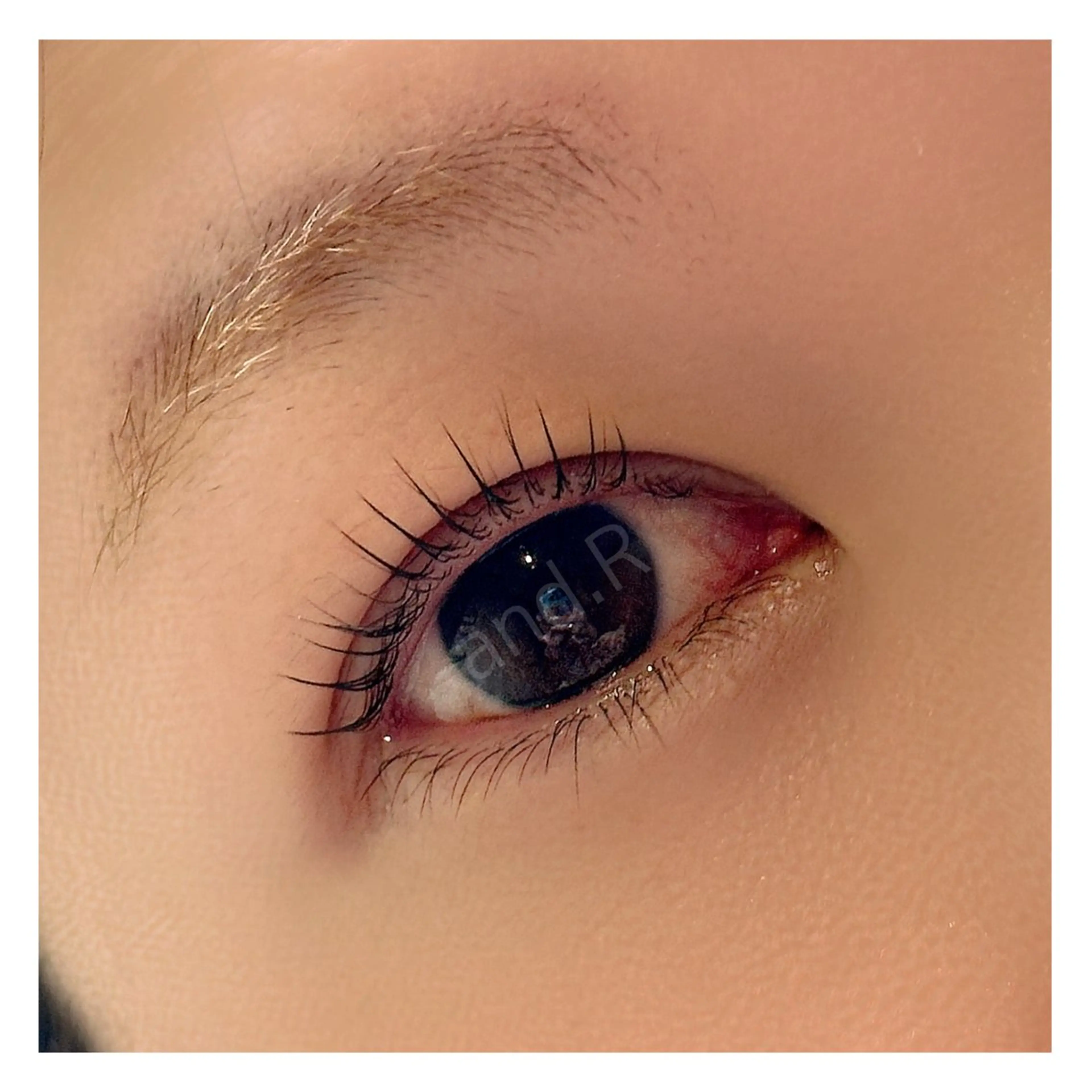 【🌟3月/5名様限定🌟】下まつげパーマ🫧モデル募集🌸の写真