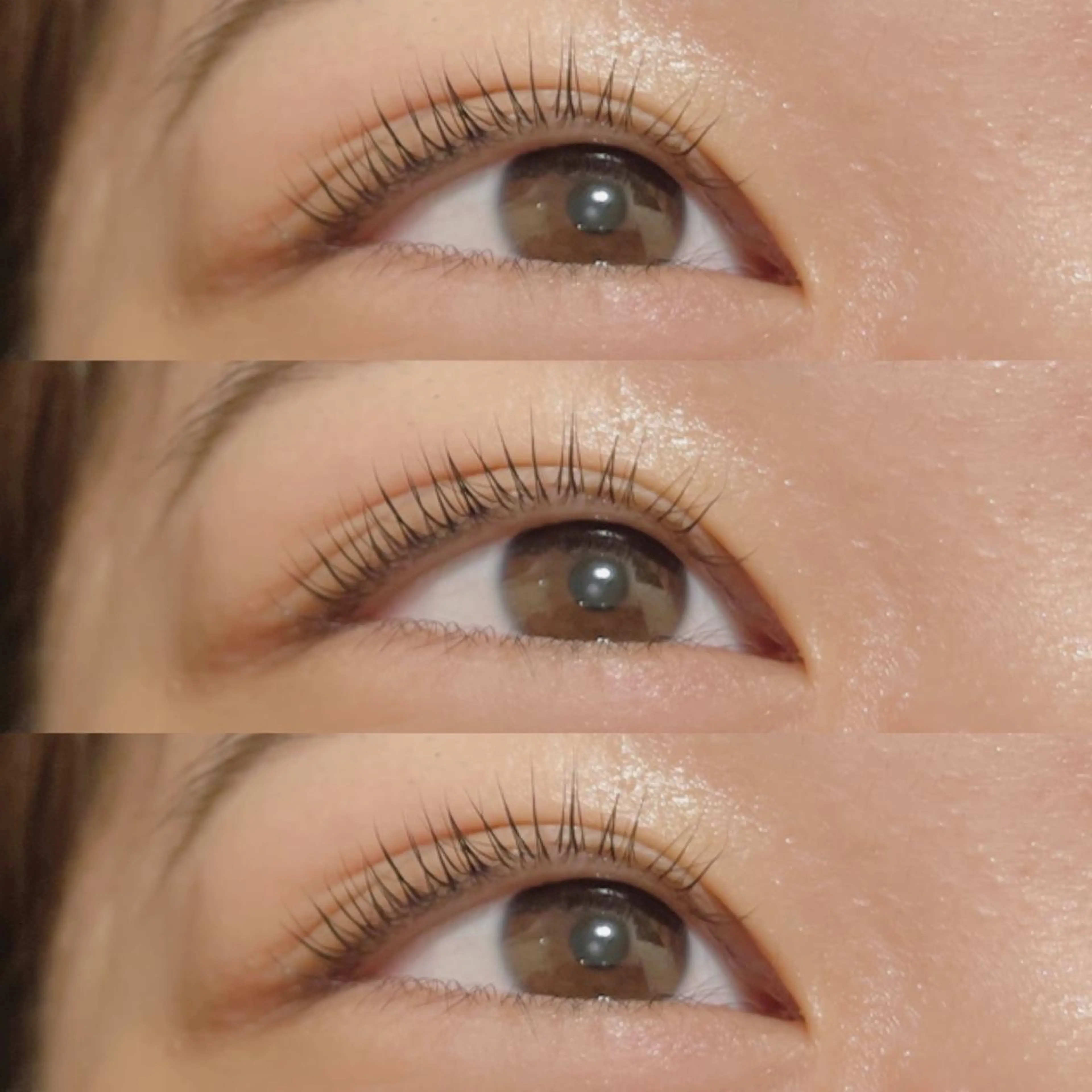 マツエク・マツパ usaginoo -ウサギノオ-所属・♡ usaginooのマツエク・マツパデザイン