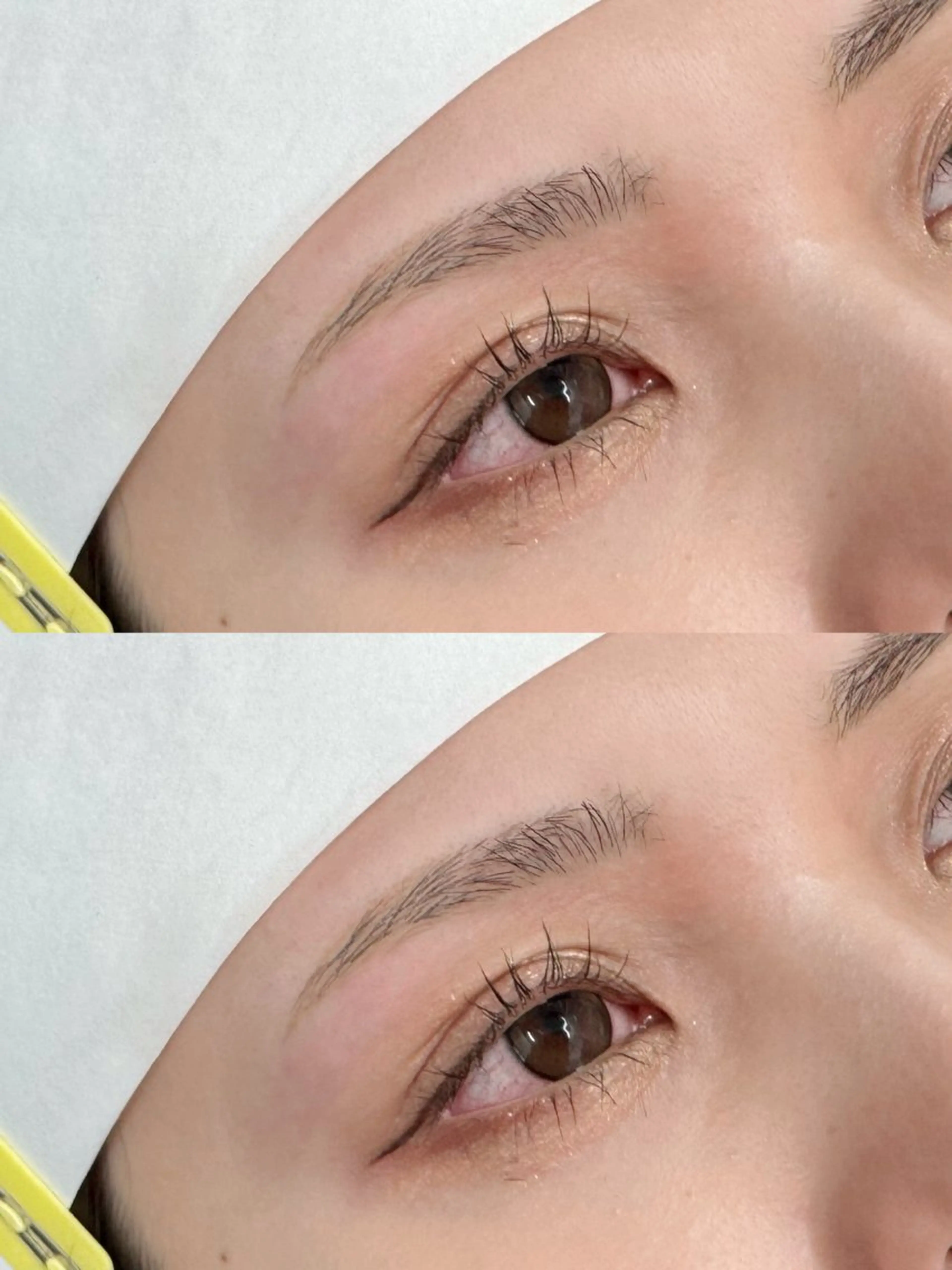 12/14（日）限定　大人気◎美眉アイブロウWAXスタイリング＋間引き🤍の写真