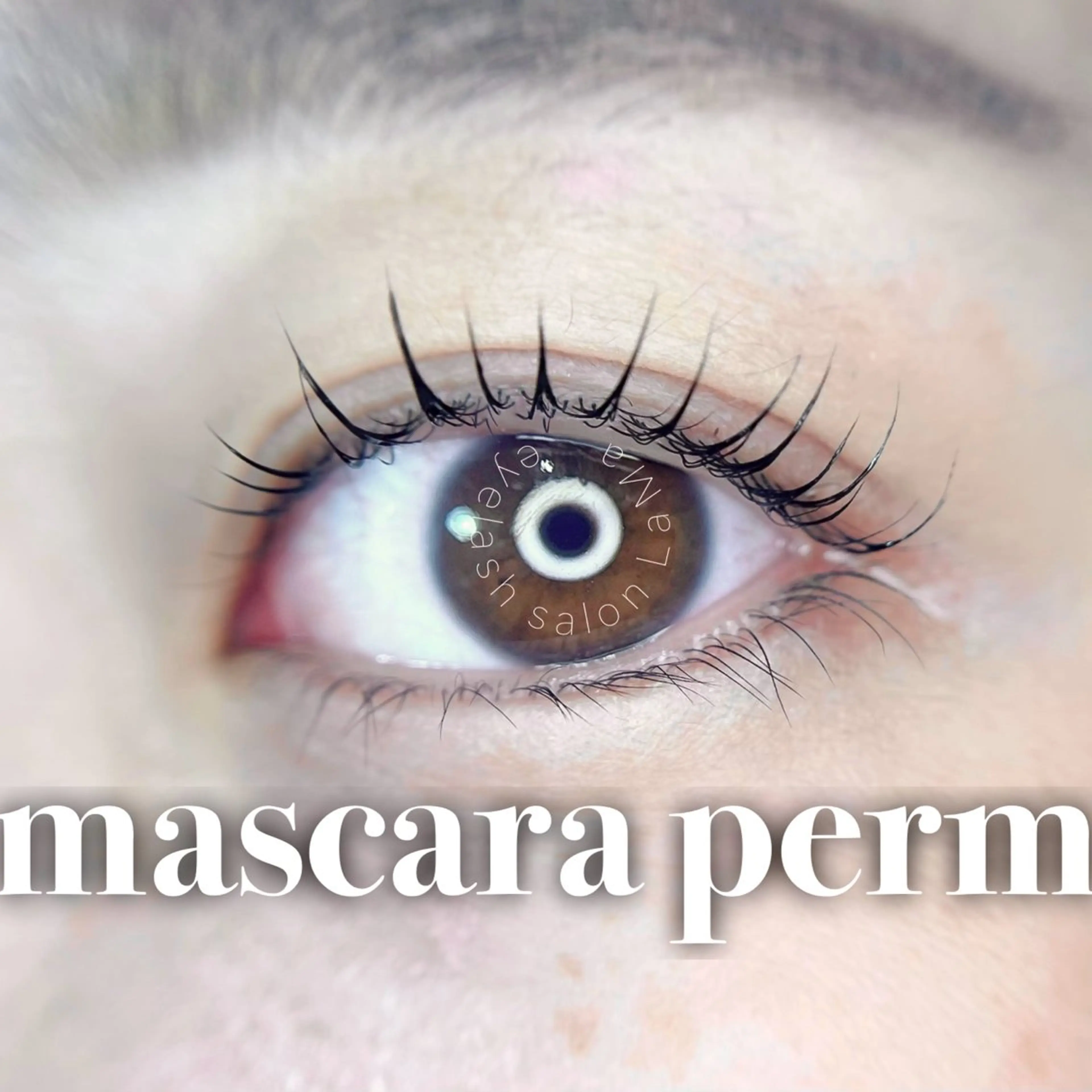 【限定価格🇰🇷】♦️新メニュー！マスカラパーマ♦️リピーター様+￥550の写真
