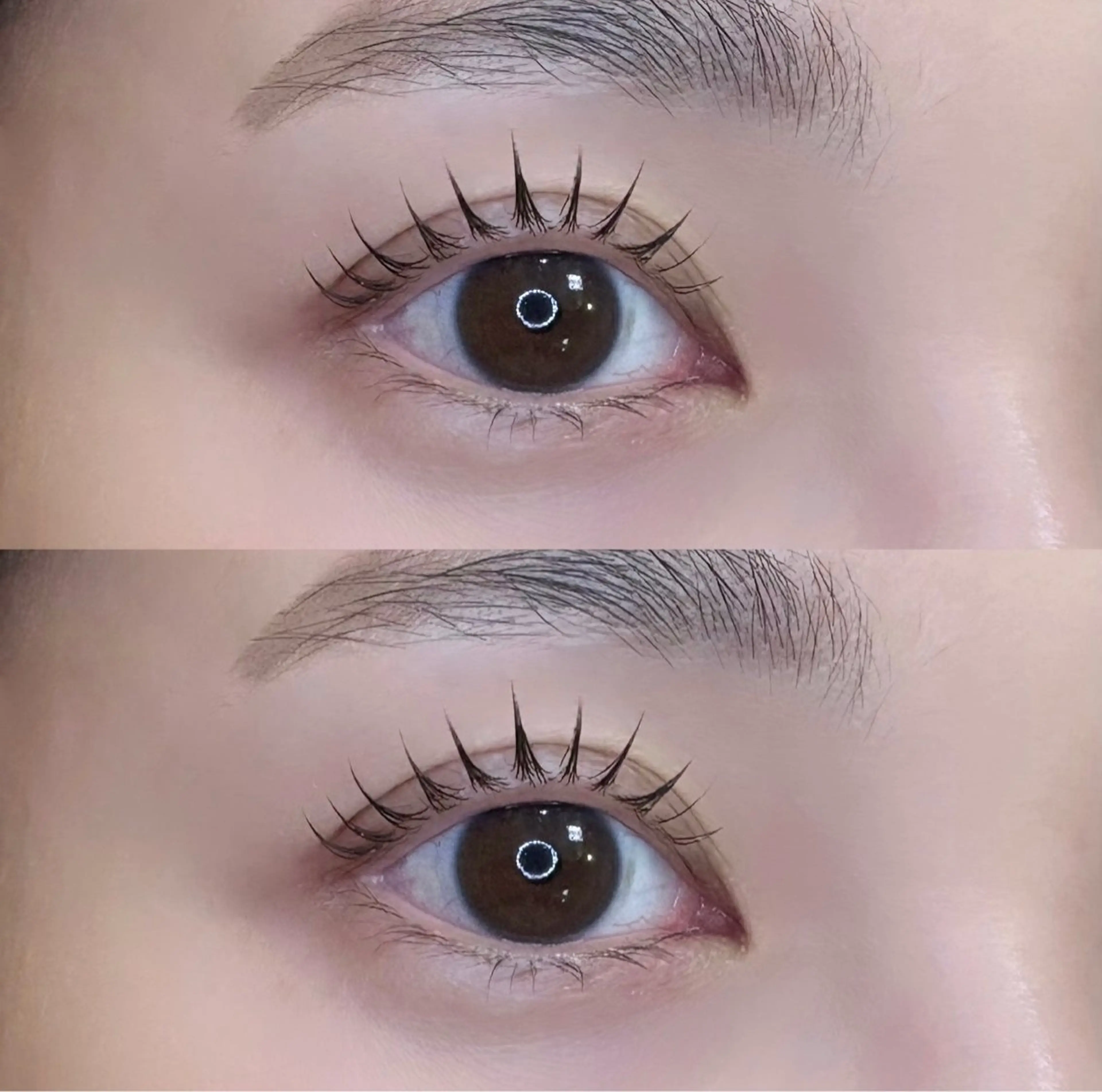 マツエク・マツパ 束感まつ毛 一重×まつ毛パーマ まつ毛パーマ港南台/ MIYAHARAのマツエク・マツパデザイン