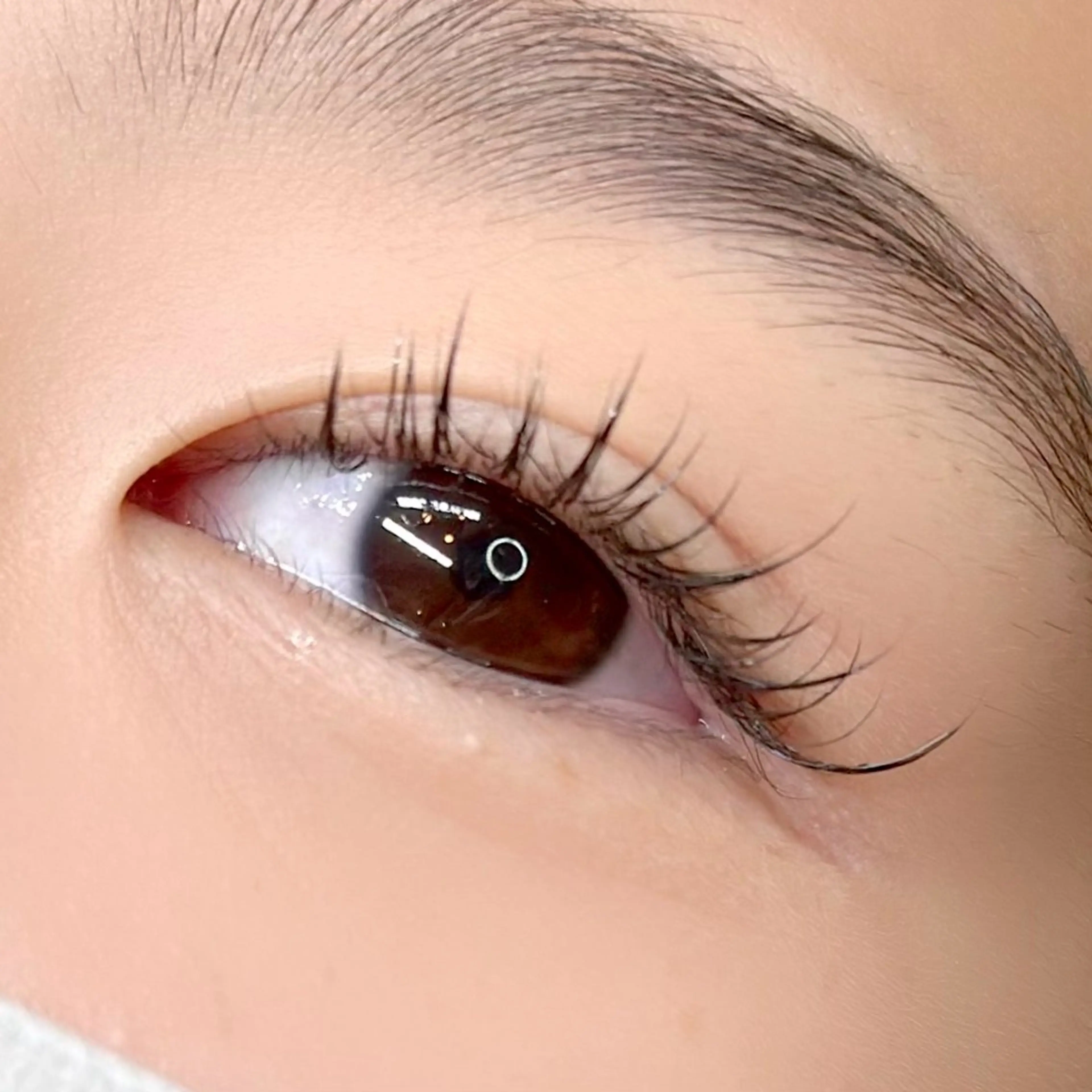 マツエク・マツパ フラットラッシュ ナチュラル ワンホンマツエク ella所属・ella eyelashのマツエク・マツパデザイン