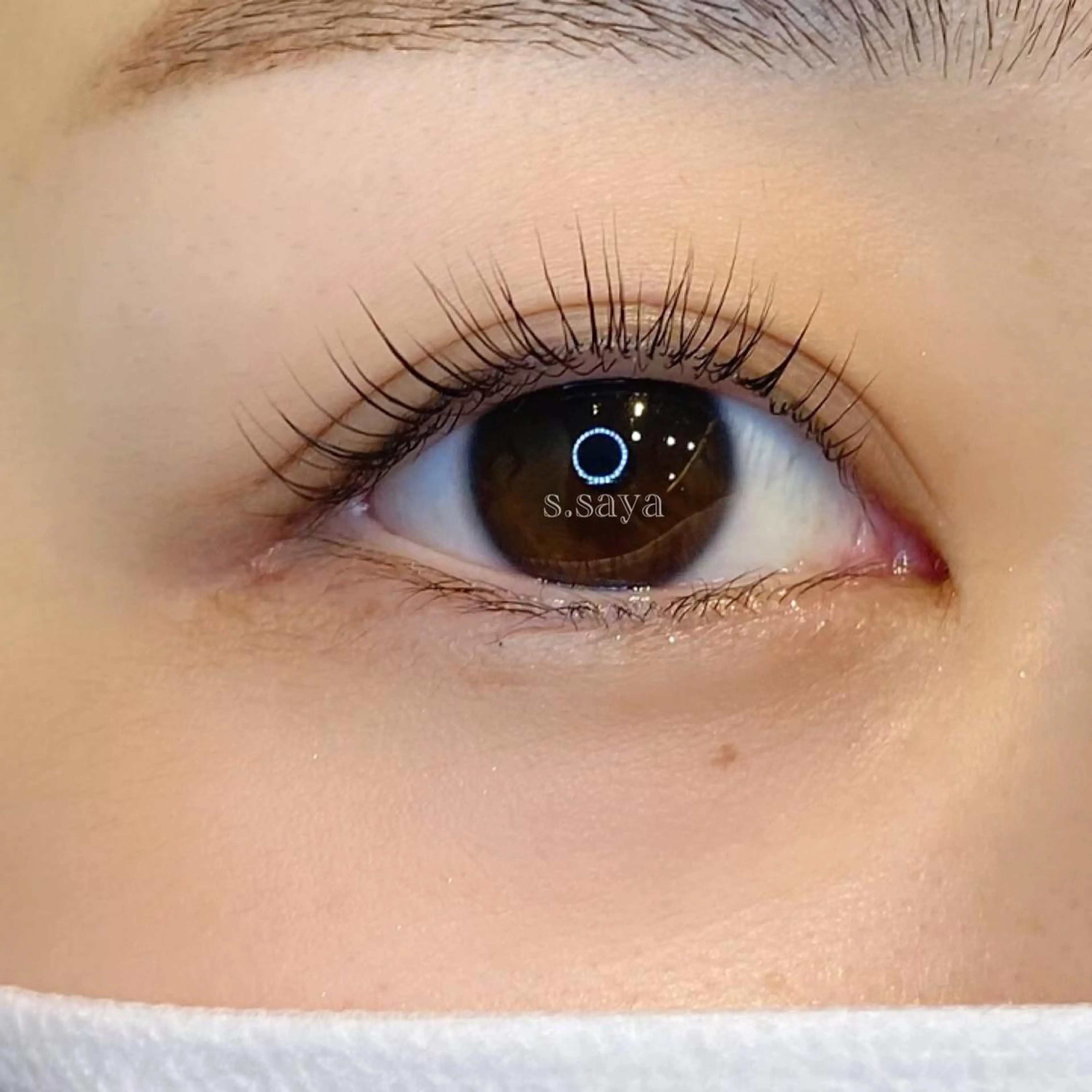 【2回目の方限定‼️】🐰🎀パリジェンヌラッシュリフト🍒¥6600（トリートメントは+¥330）の写真