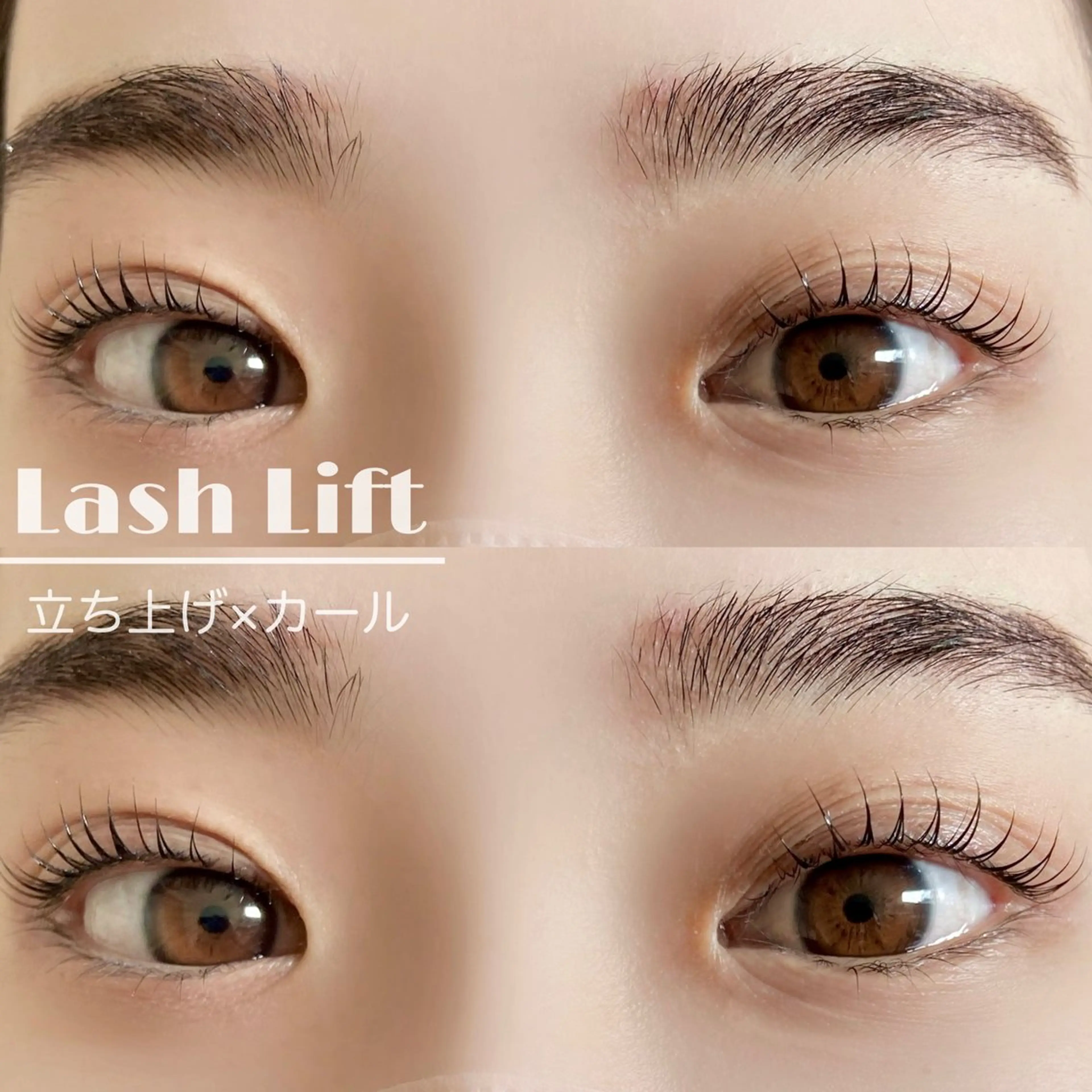 【minimo限定価格🤍】ラッシュリフト（上）【美容液コーティング仕上げ】の写真