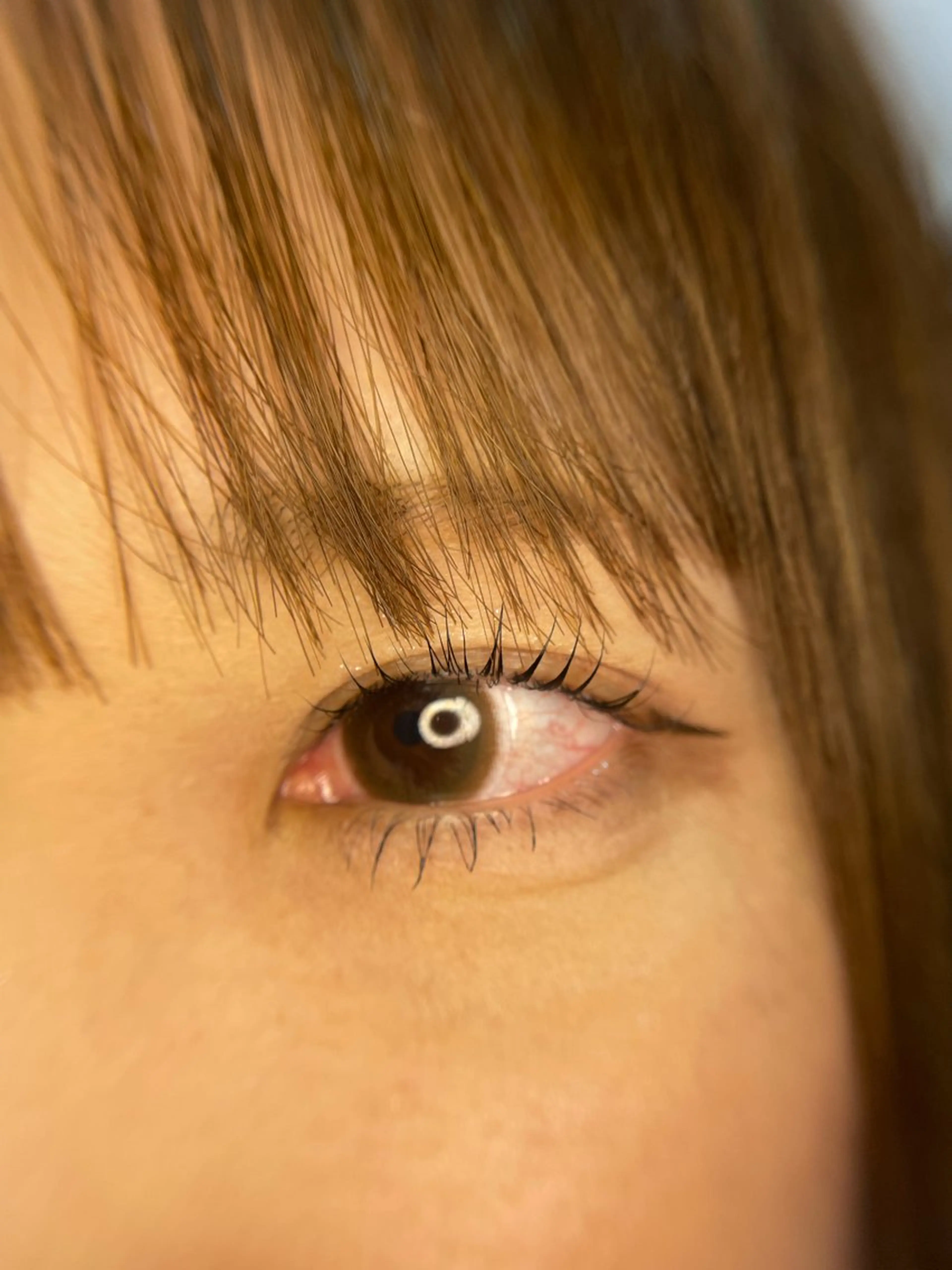 🌹まつげパーマ/仕上げコーティング付きの写真