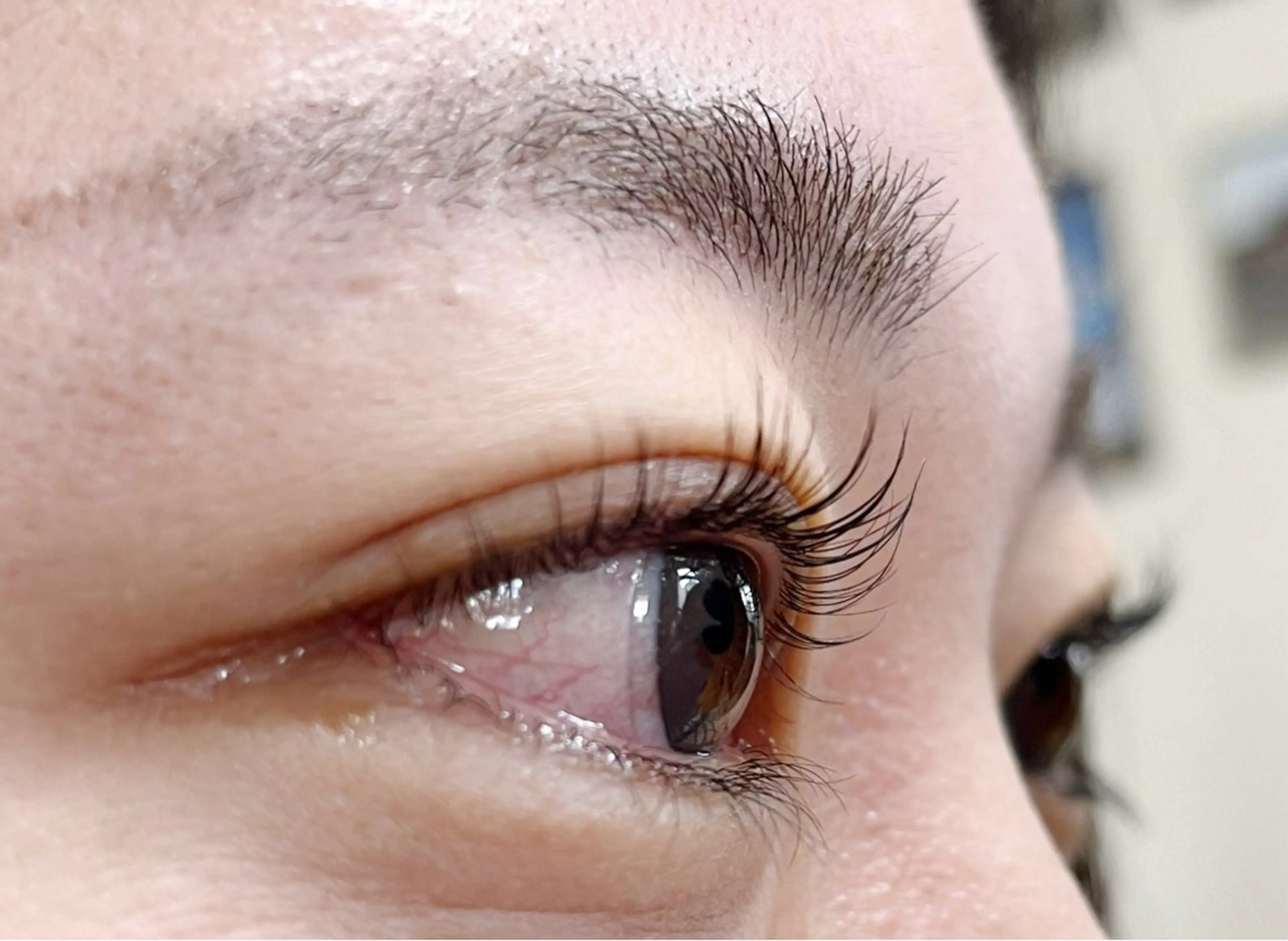 上まつ毛パーマ（パリジェンヌ可）ナチュラル​〜​パッチリまでお任せ下さい👀✨コーティング込みの料金になります🩷の写真