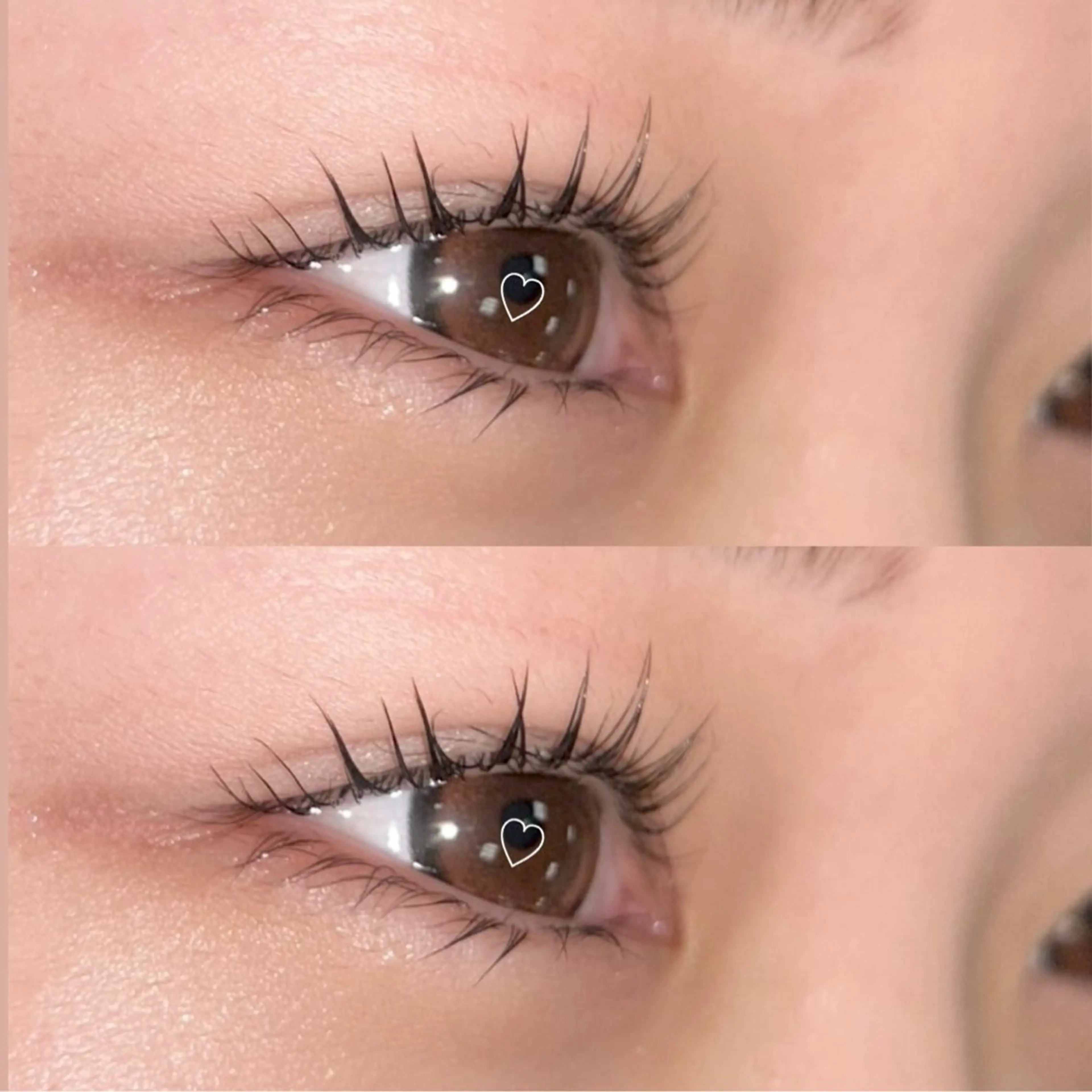 "平日限定" 💎まつげパーマ（コーティング仕上げ）💎の写真