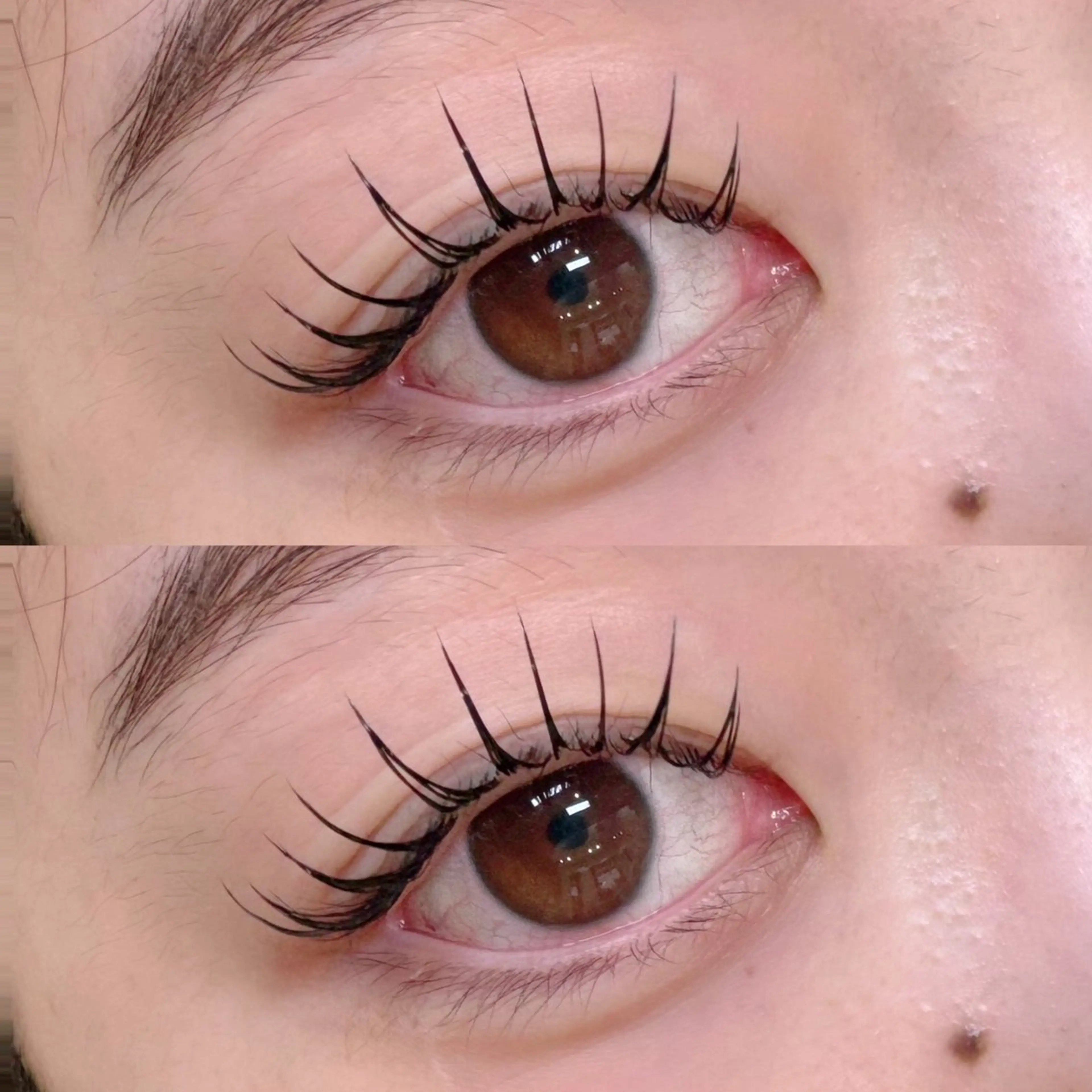 🫧SNSで人気🫧パリエク　100本まで（＋1000円でLEDに変更可能）の写真