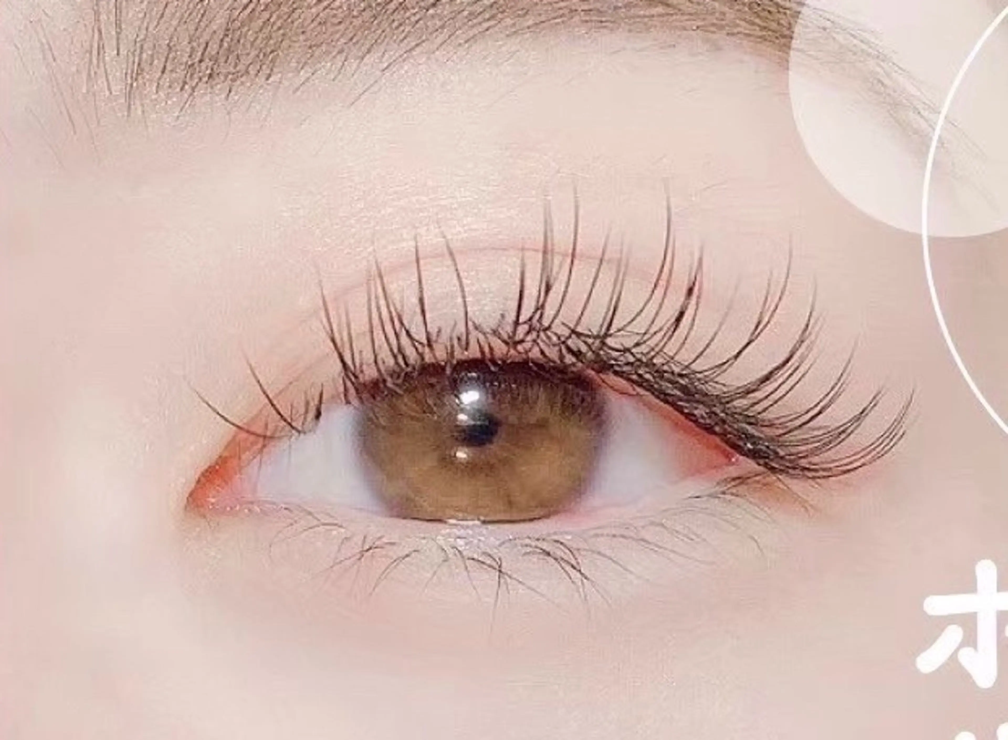 🩰フラット120本🪞の写真