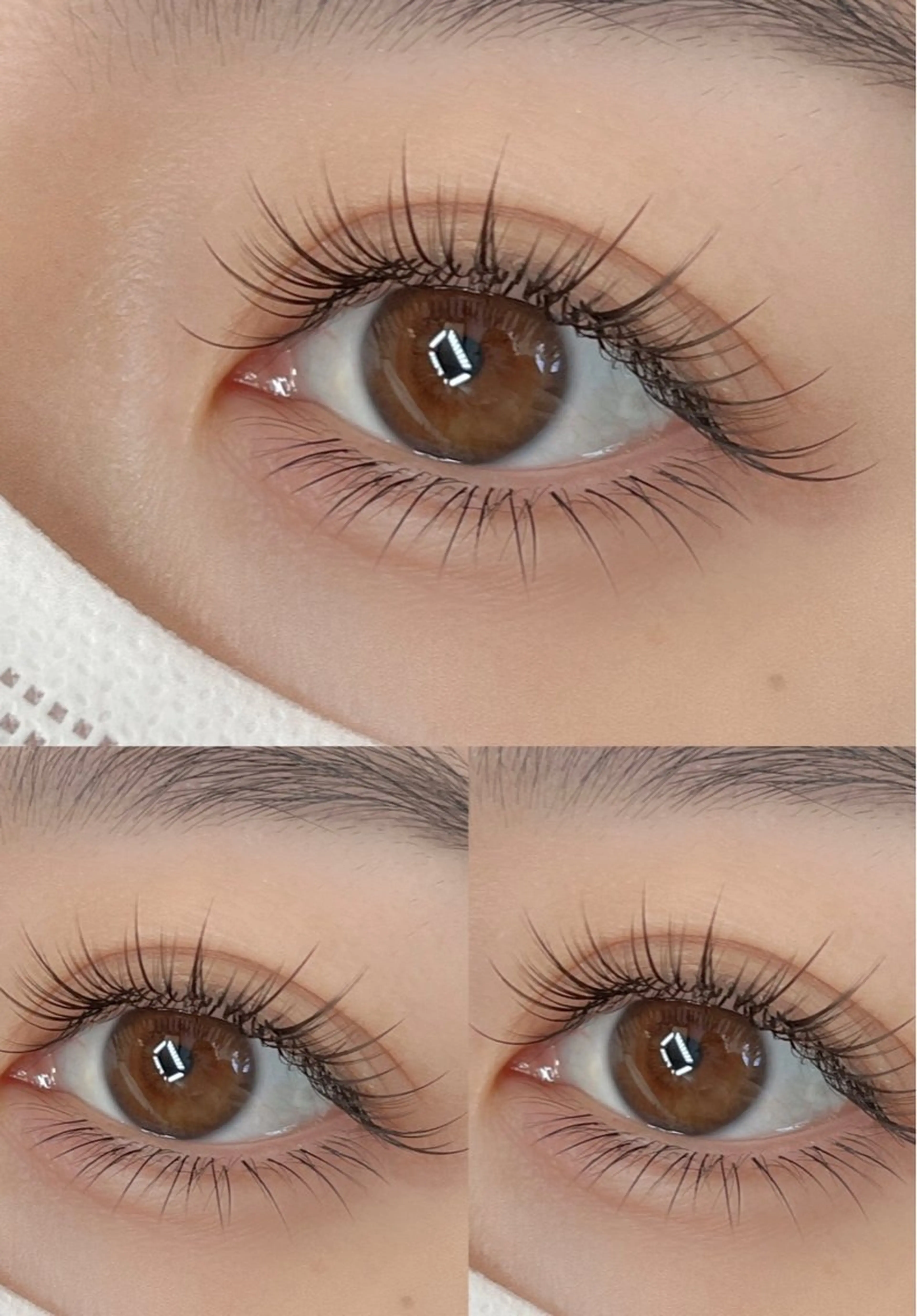 フラットラッシュ100本の写真