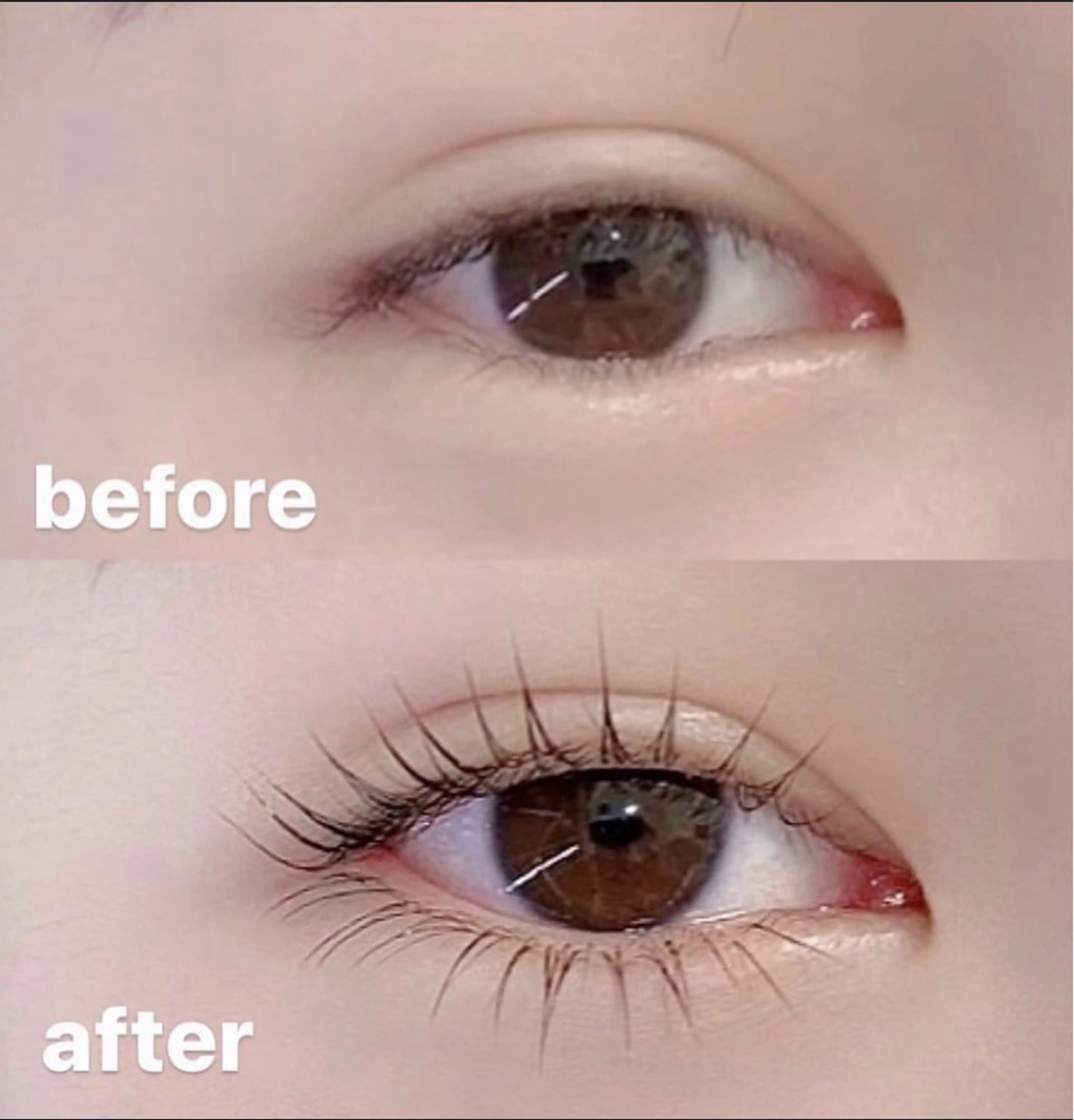 マツエク・マツパ まつげパーマ 下まつげエクステ マツパ miku .の眉毛・アイブロウイメージ