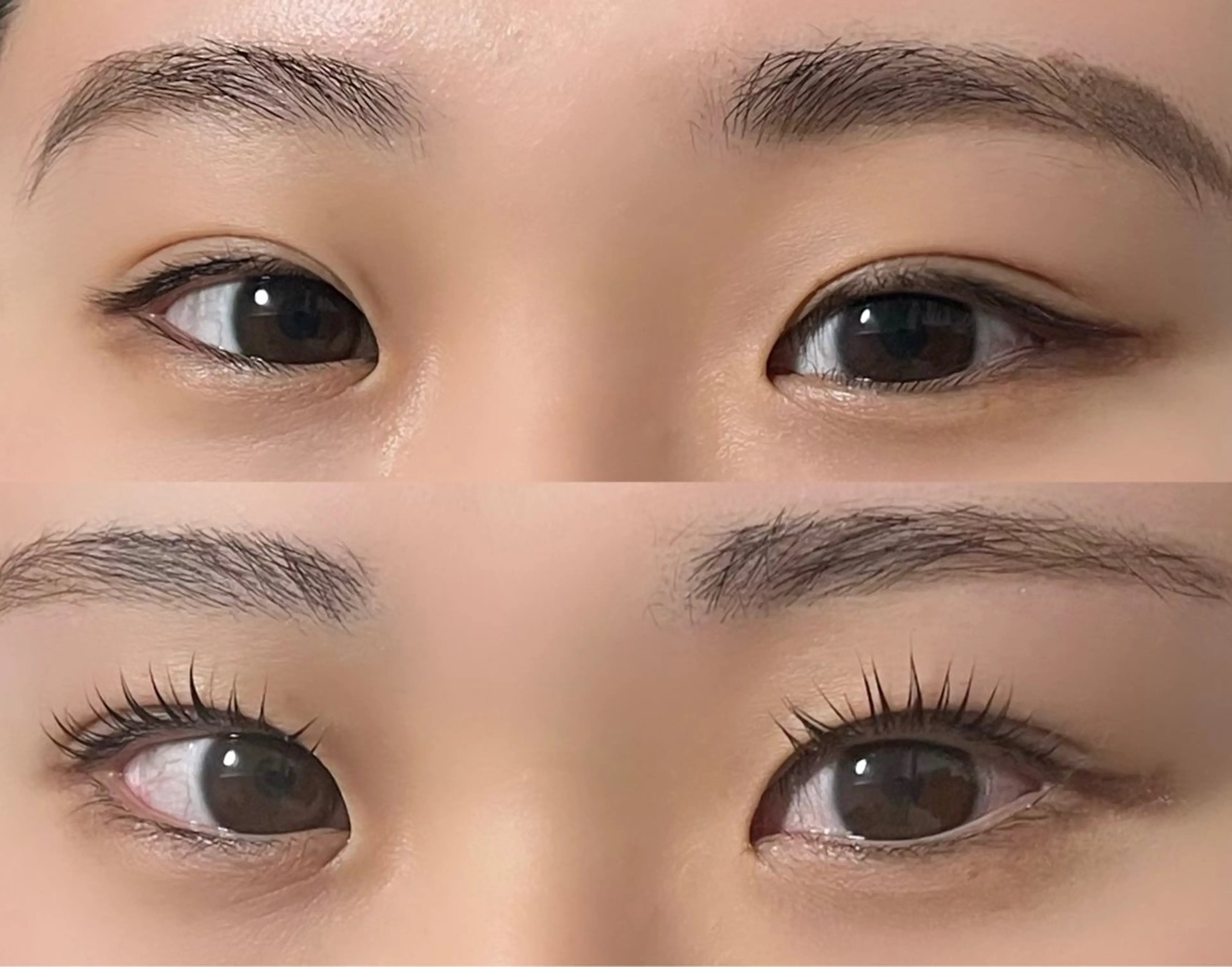 マツエク・マツパ *elua lily blow*のマツエク・マツパデザイン