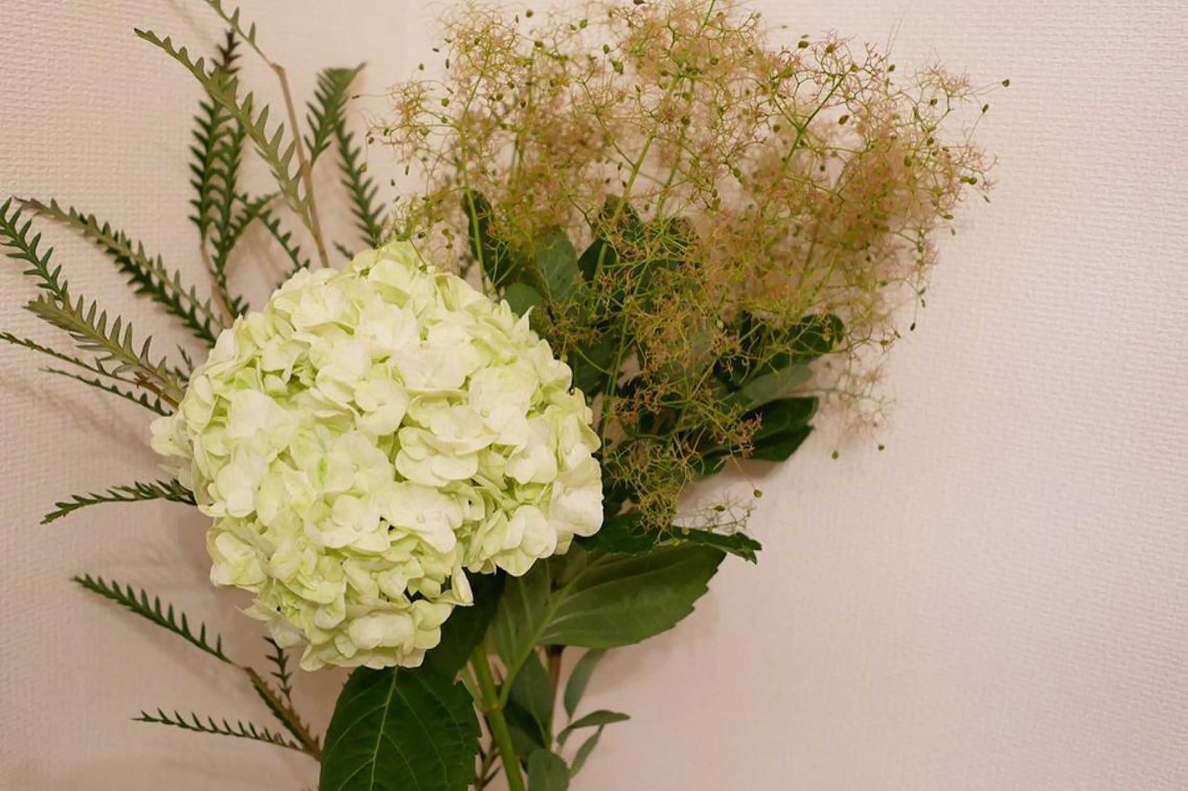 セミロング カラー パーマ ヘアアレンジ メンズ キッズ ネイル マツエク・マツパ オレンジ カラーマツエク オレンジ ニキビ跡専門サロン Ａｉｎａのエステ・リラクイメージ