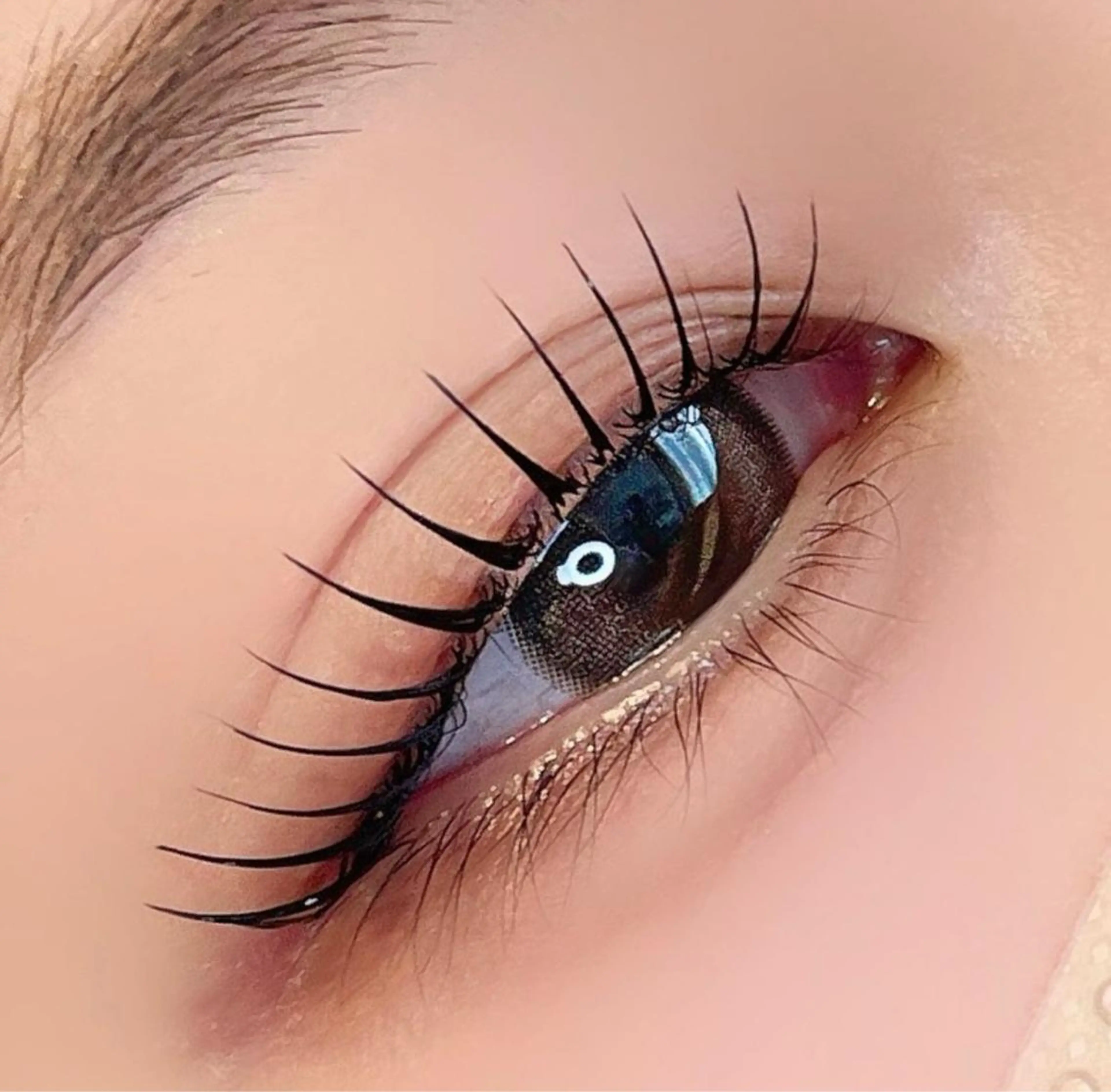 パリジェンヌラッシュリフト💘¥5,000コーティング仕上げの写真