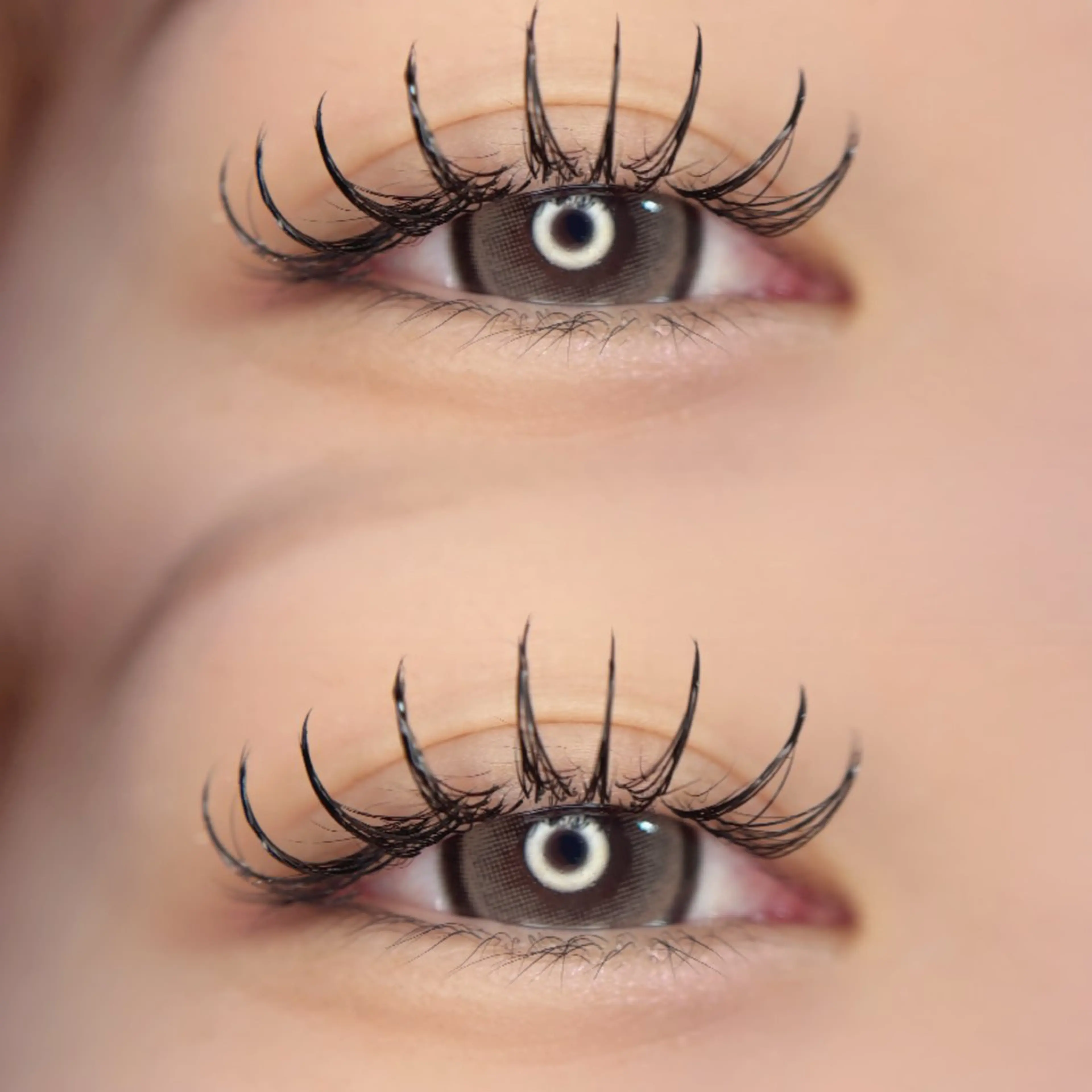 マツエク・マツパ Cカール Dカール Jカール アップワードラッシュ マツエク 🦋MaaZlash 南流山FUKA🤍のマツエク・マツパデザイン