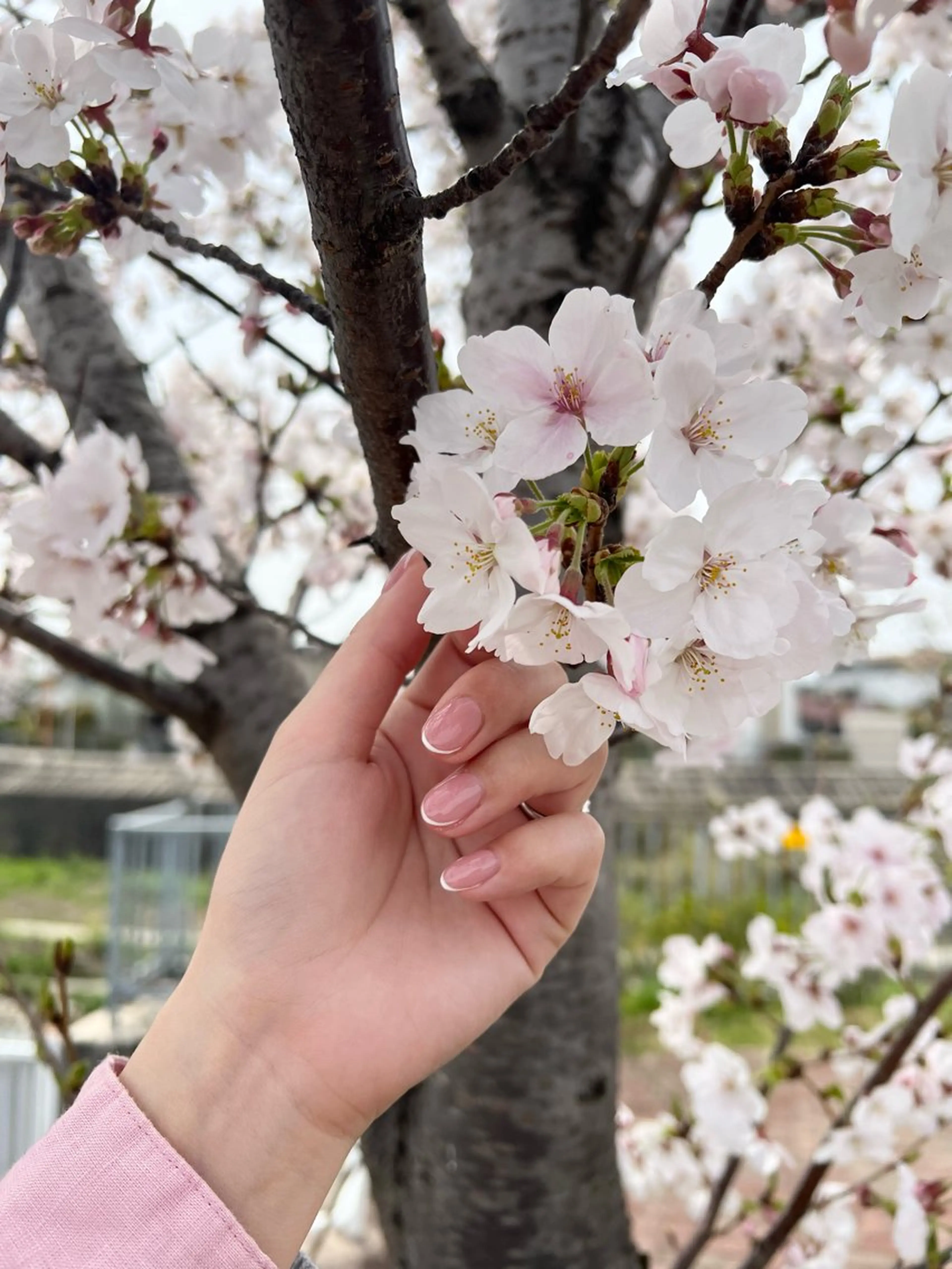 ネイル ハンドネイル liberté (リベルテ)のネイルデザイン