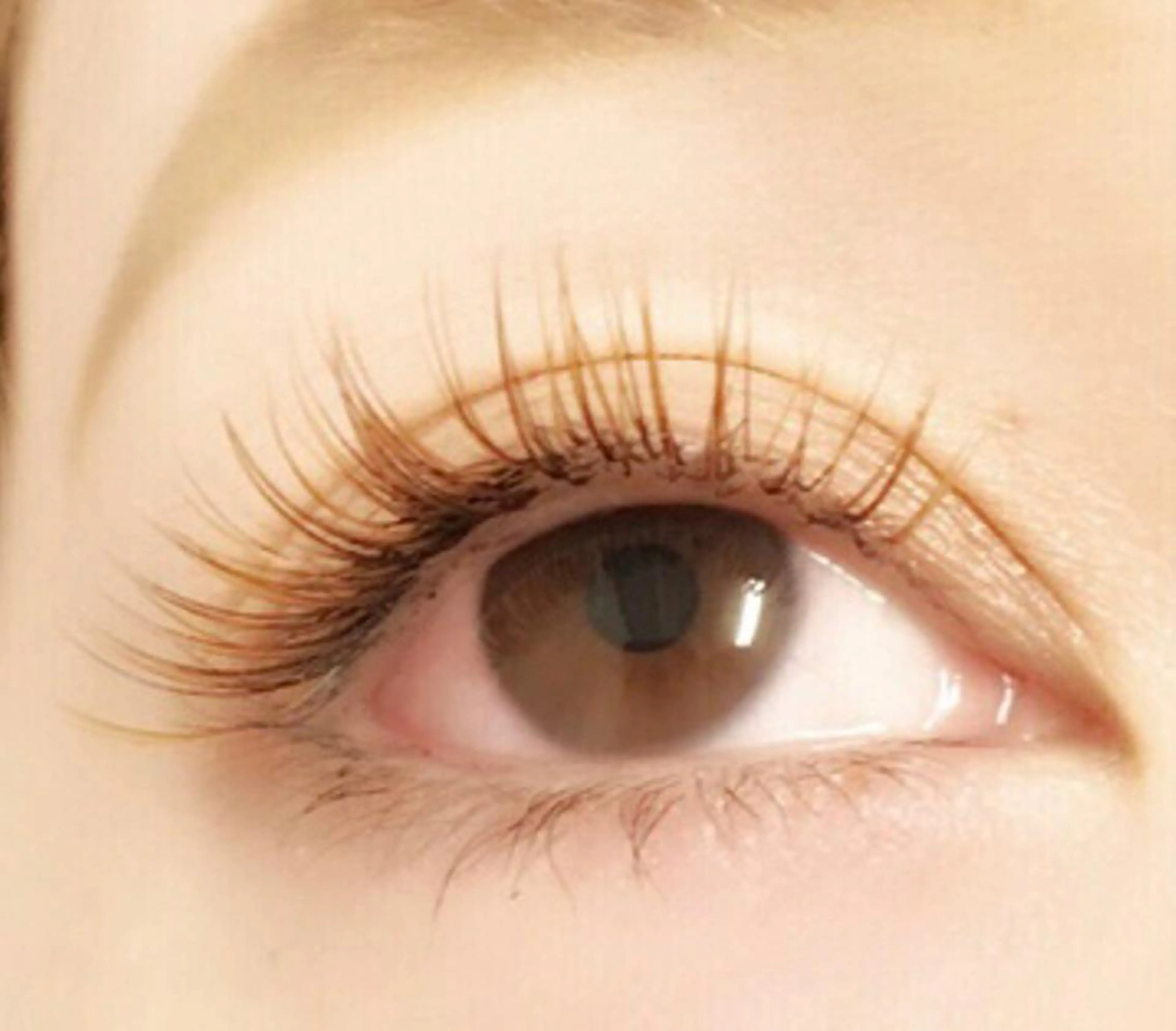 マツエク・マツパ Lanhr所属・【Lanhr】 🕊aya🕊のマツエク・マツパデザイン