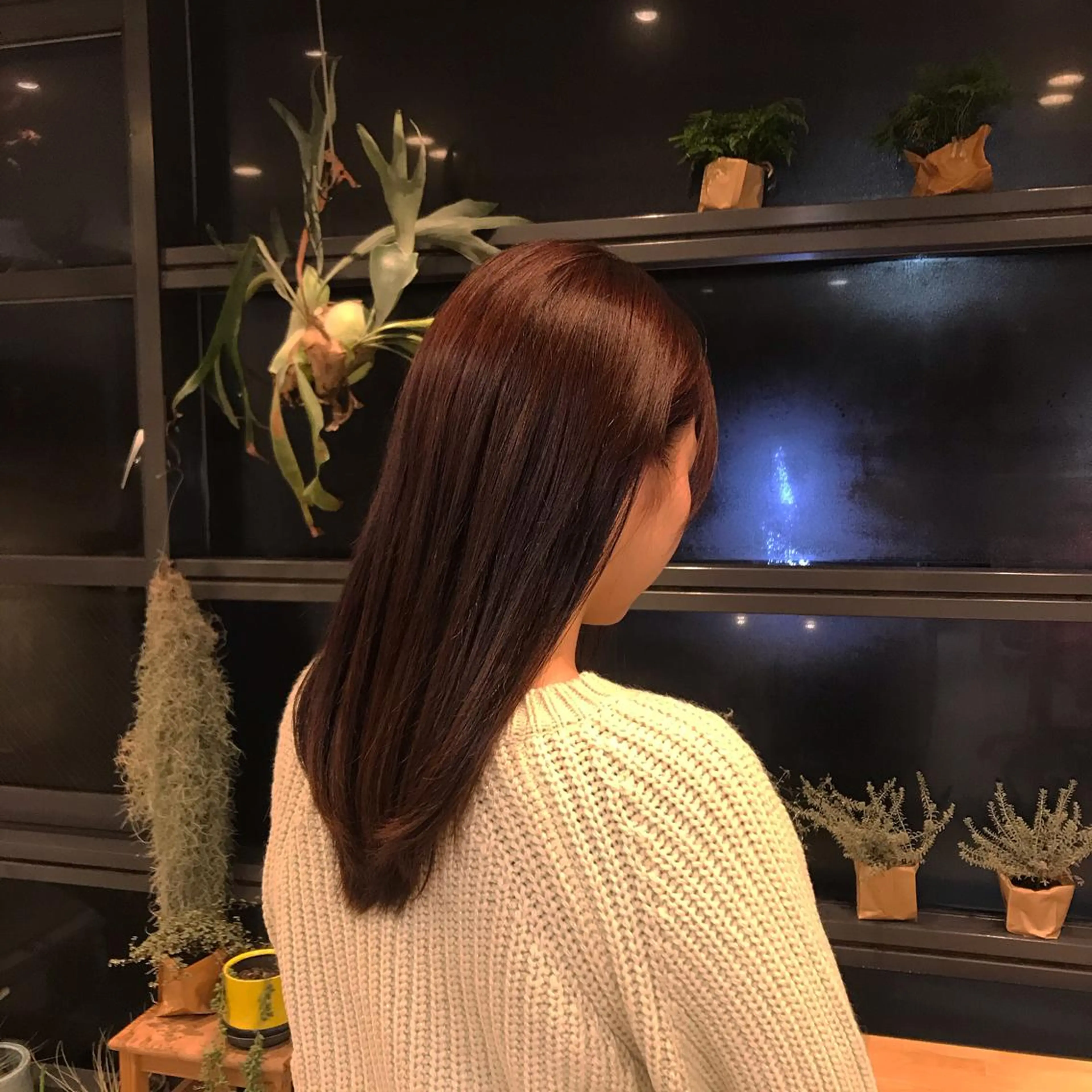 セミロング 菅原 彩加のヘアスタイル