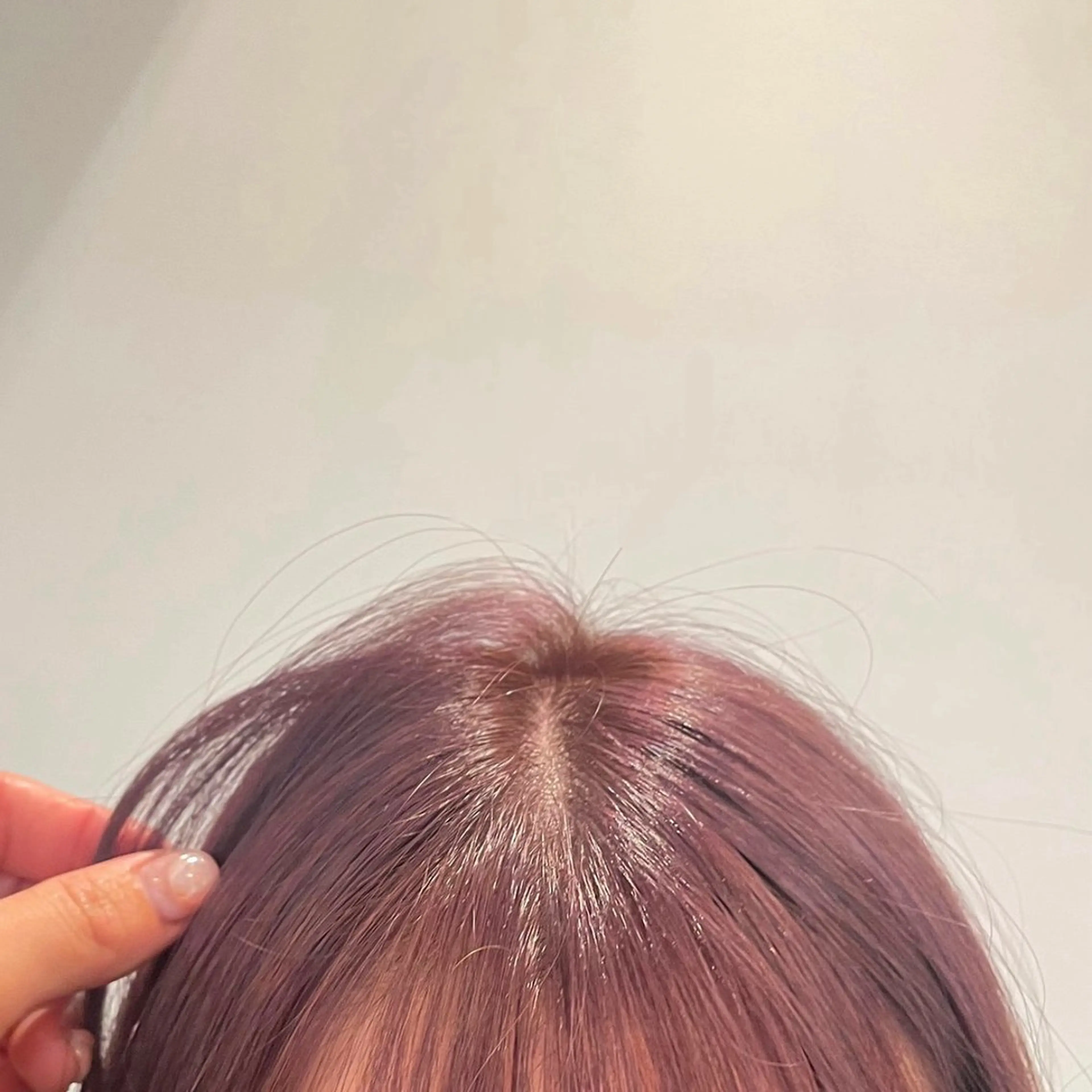 カラー December渋谷所属・無料カットモデル募集 / 涼 乃のヘアスタイル