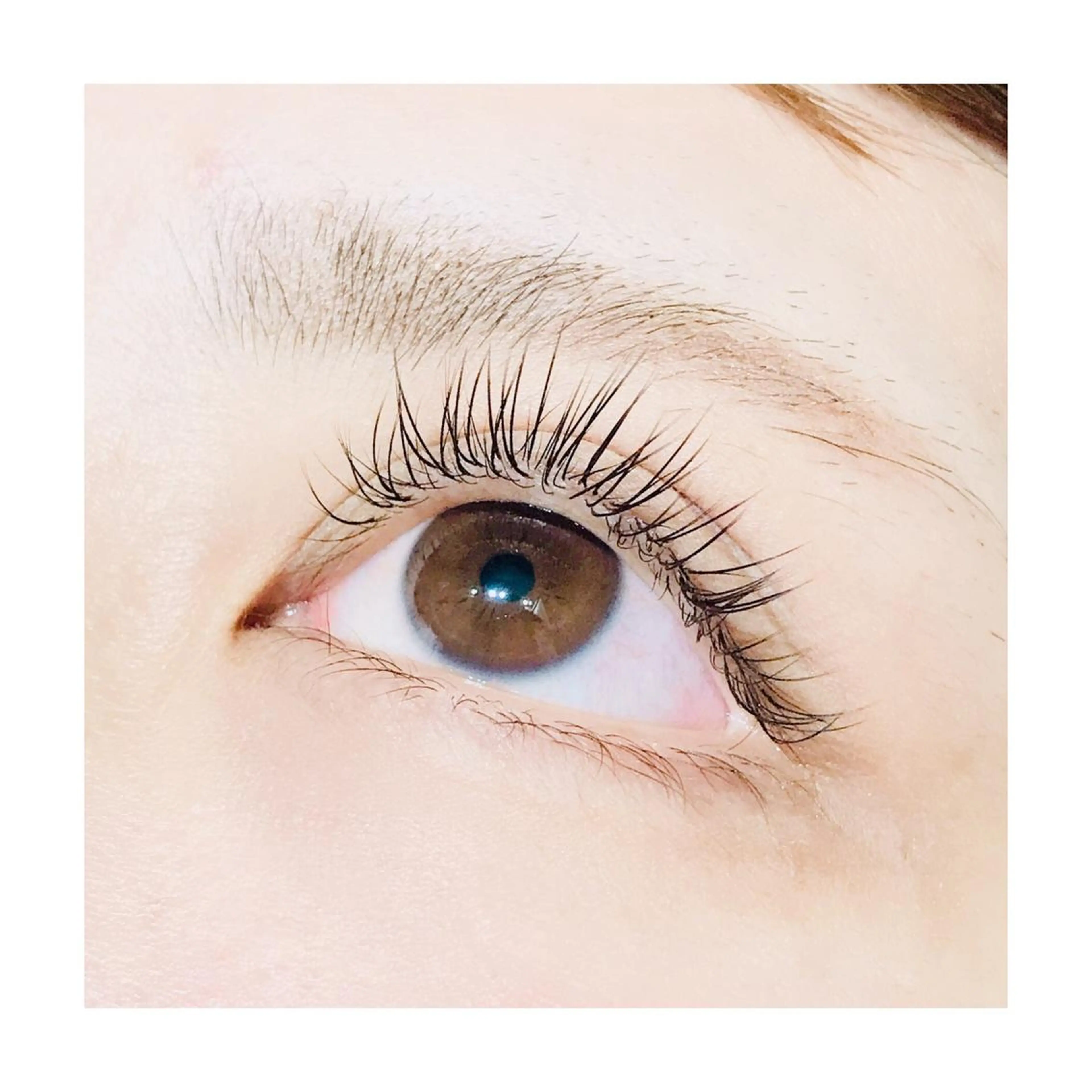 マツエク・マツパ Cカール フラットラッシュ マツエク にっくに ちひろの眉毛・アイブロウイメージ